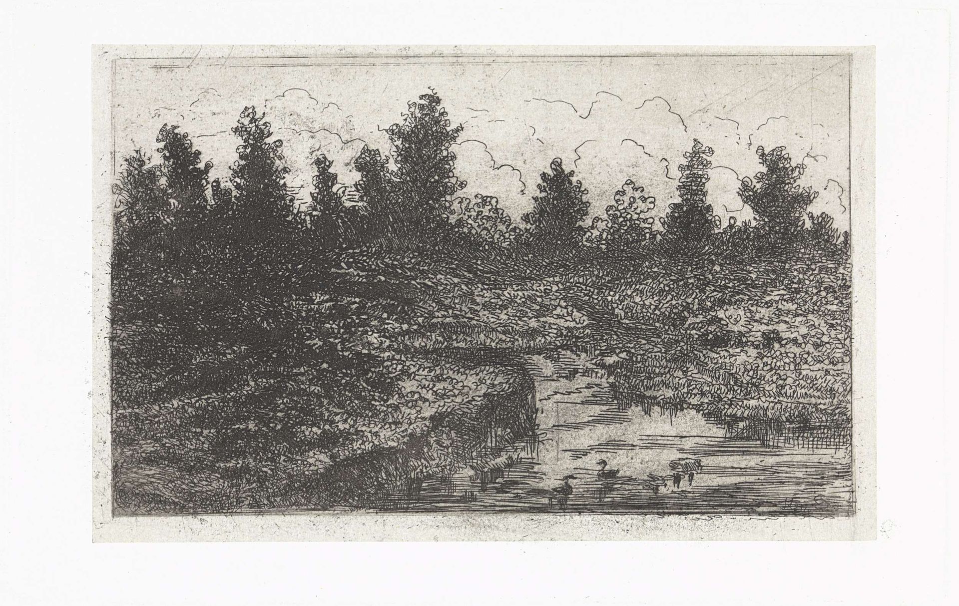 Poel met eenden by Arnoud Schaepkens