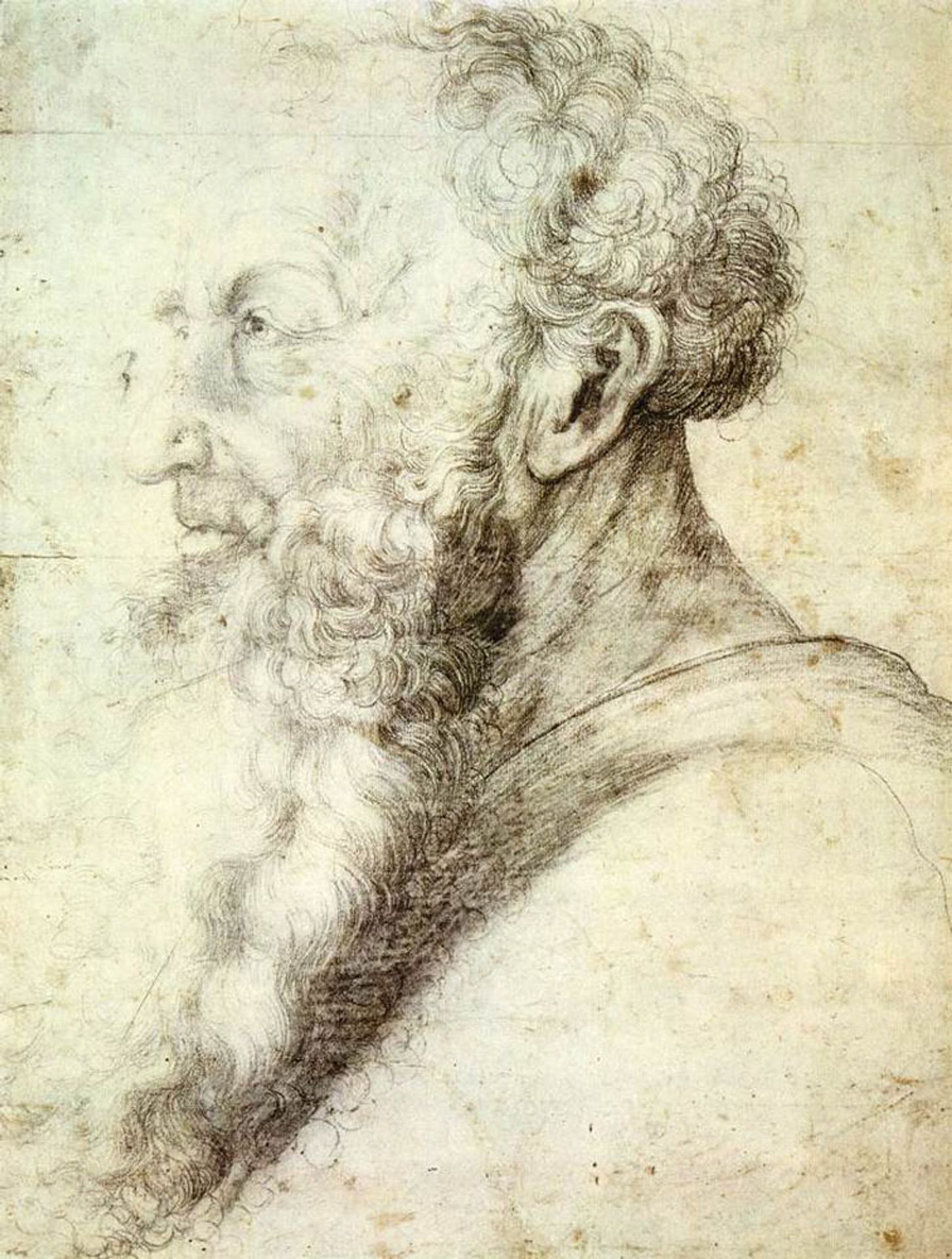 Portrait of Guido Guersi by Matthias Grünewald