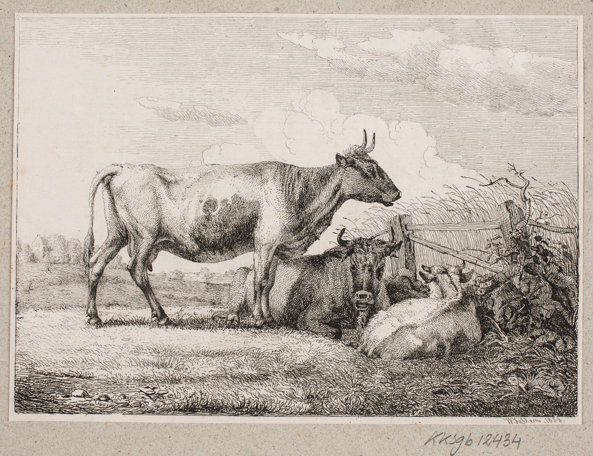 Køer på marken by Johannes Wilhelm Zillen