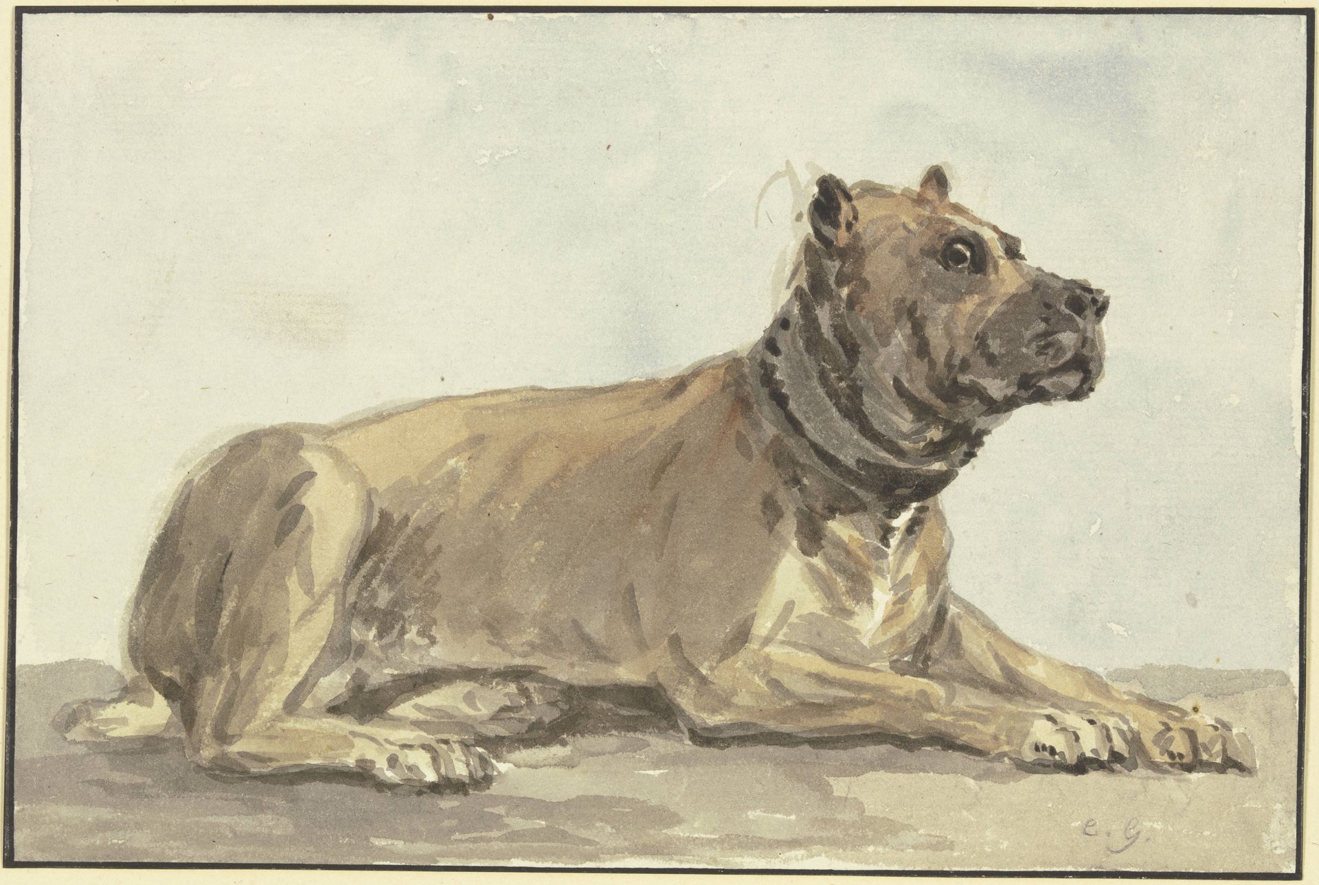 Liegende Dogge, den Kopf erhoben by Conrad Gesner