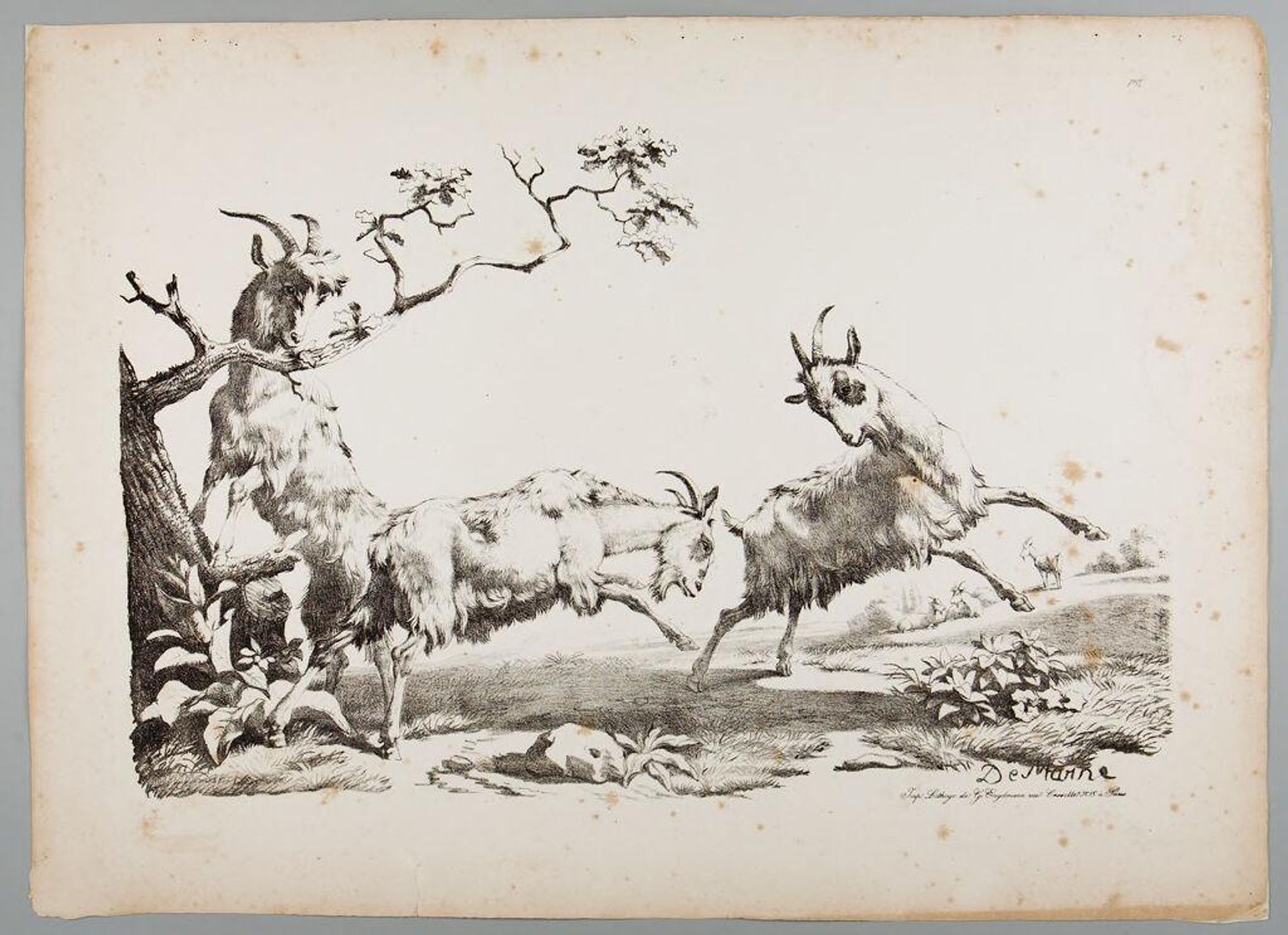 Three Goats by Jean Louis de Marne