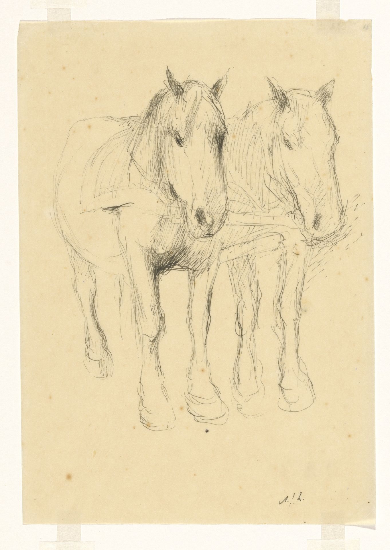 Twee paarden by Anne Zeilstra-Hofstra