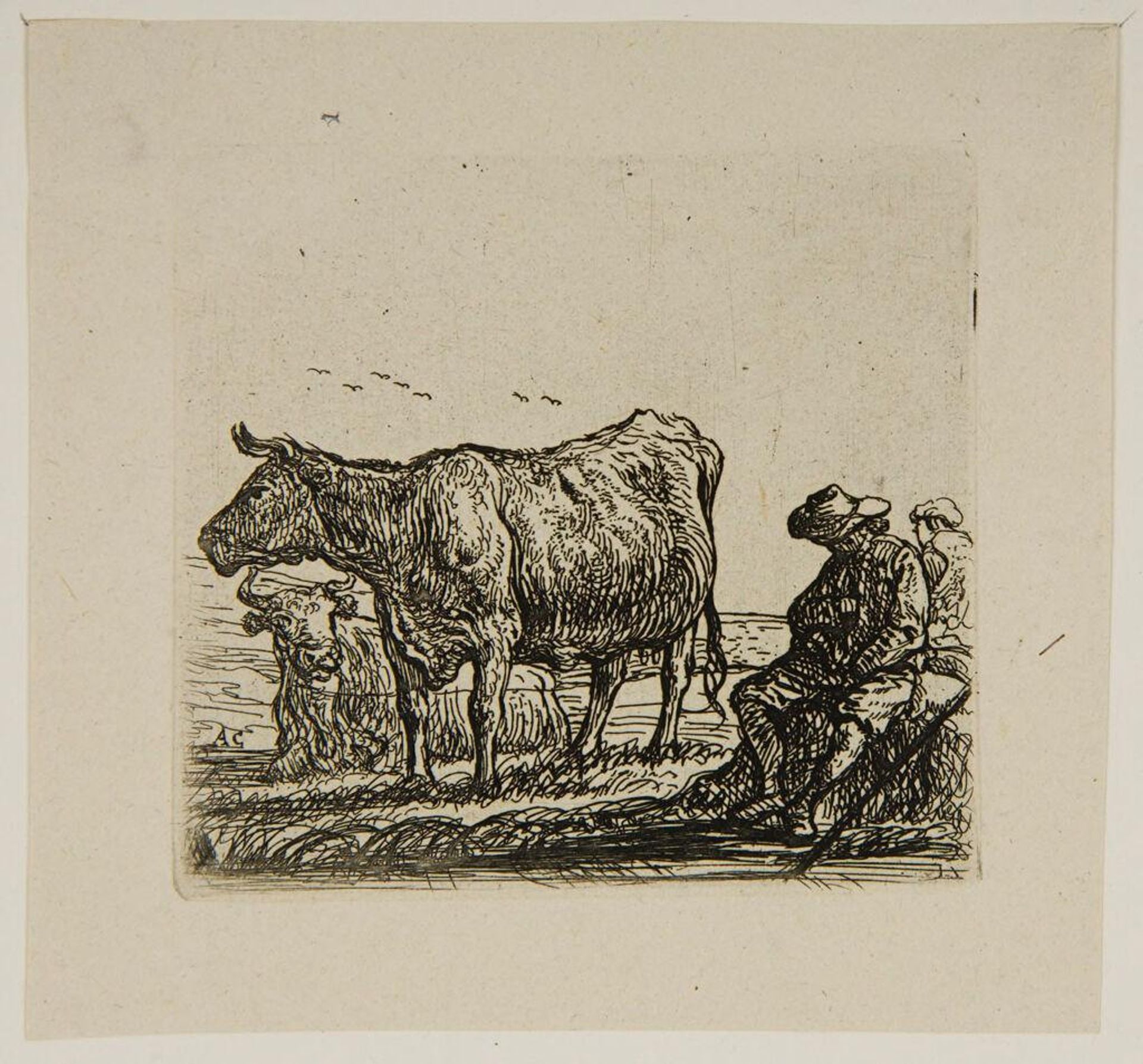 Study V by Aelbert Cuyp