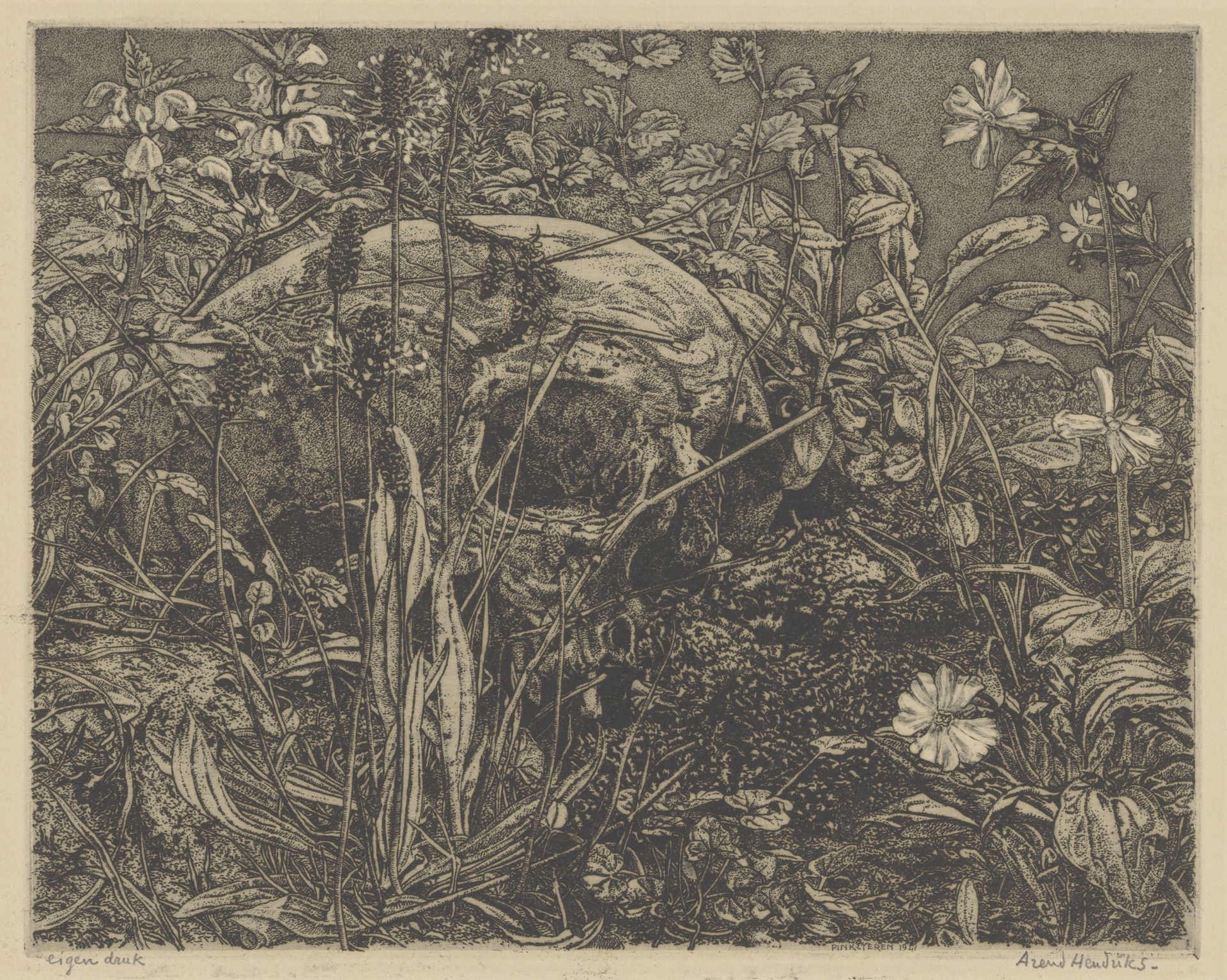 Schedel tussen bloemen in een veld by Arend Hendriks