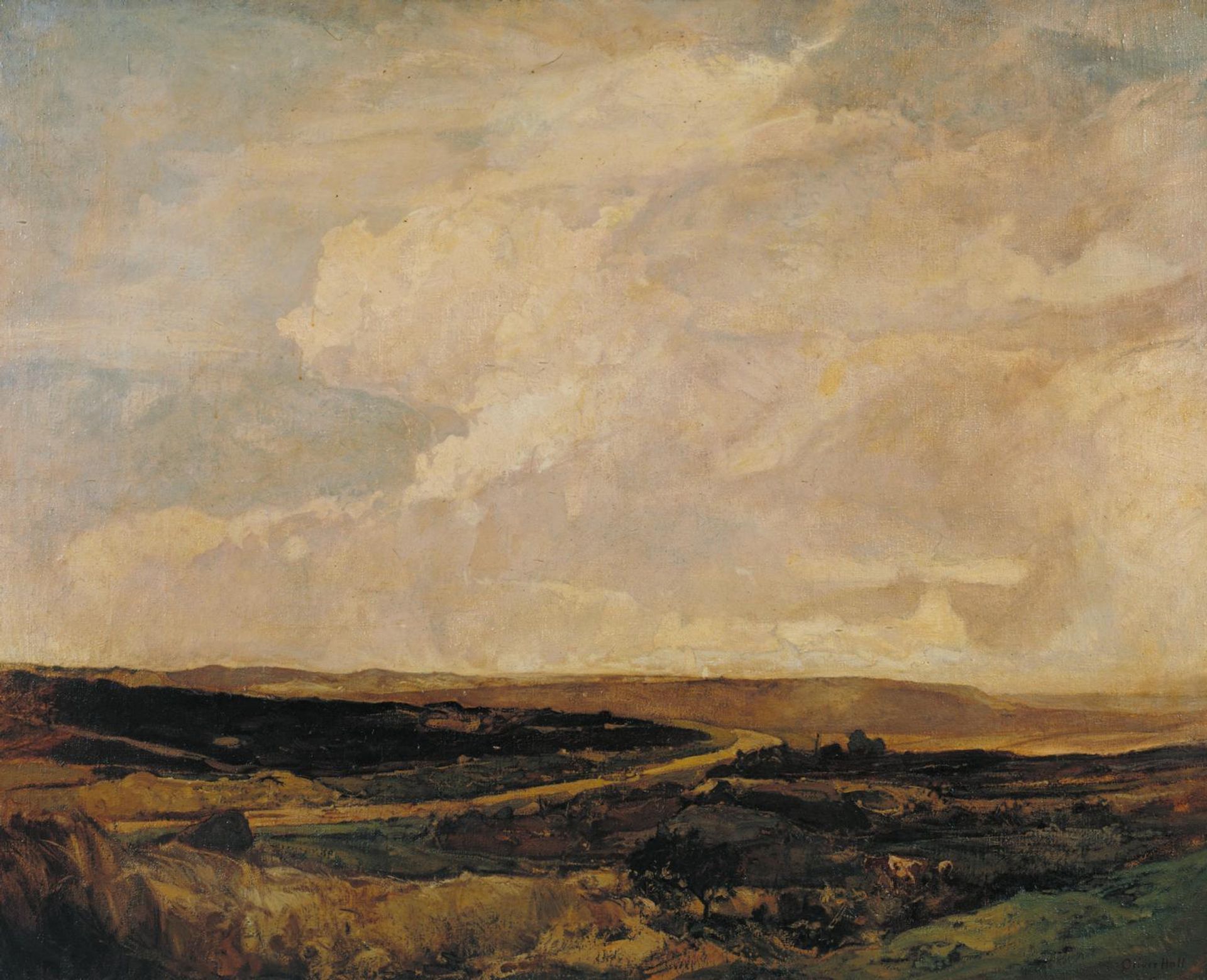 Shap Moors by  Oliver Hall