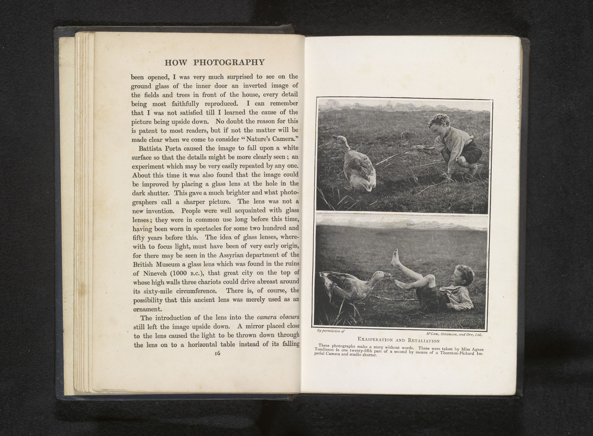 Tweemaal een jongen met een gans in een grasland by Agnes Tomlinson