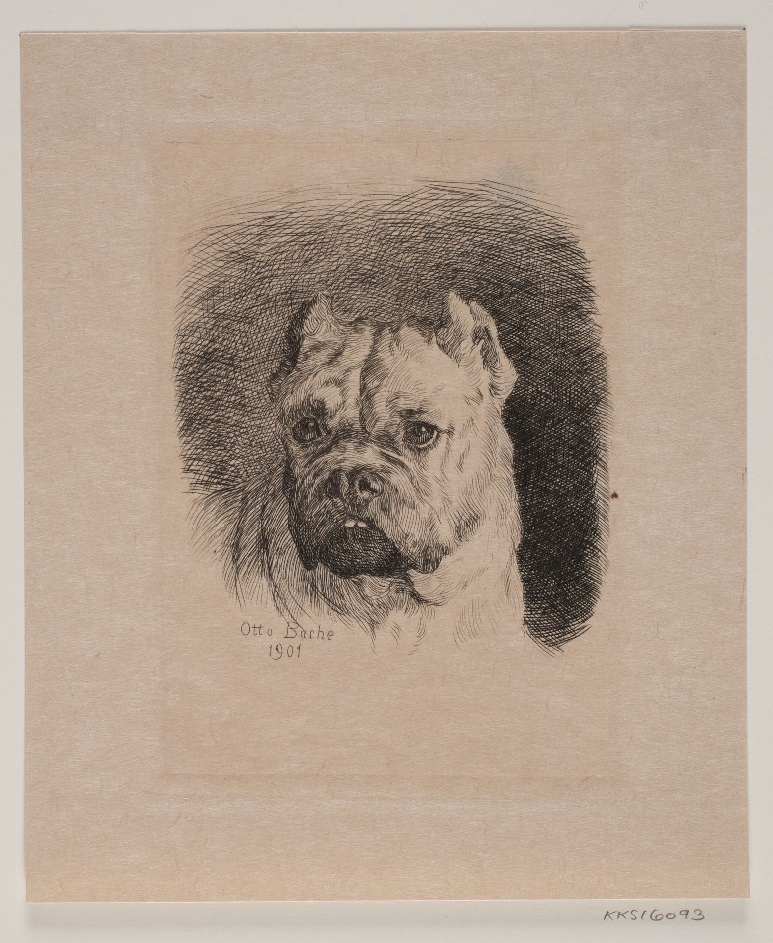 Et hundehoved by Otto Bache