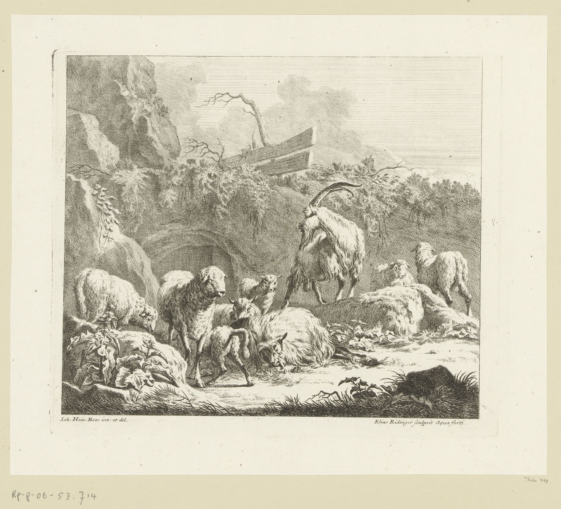 Kudde schapen en geiten by Johann Elias Ridinger