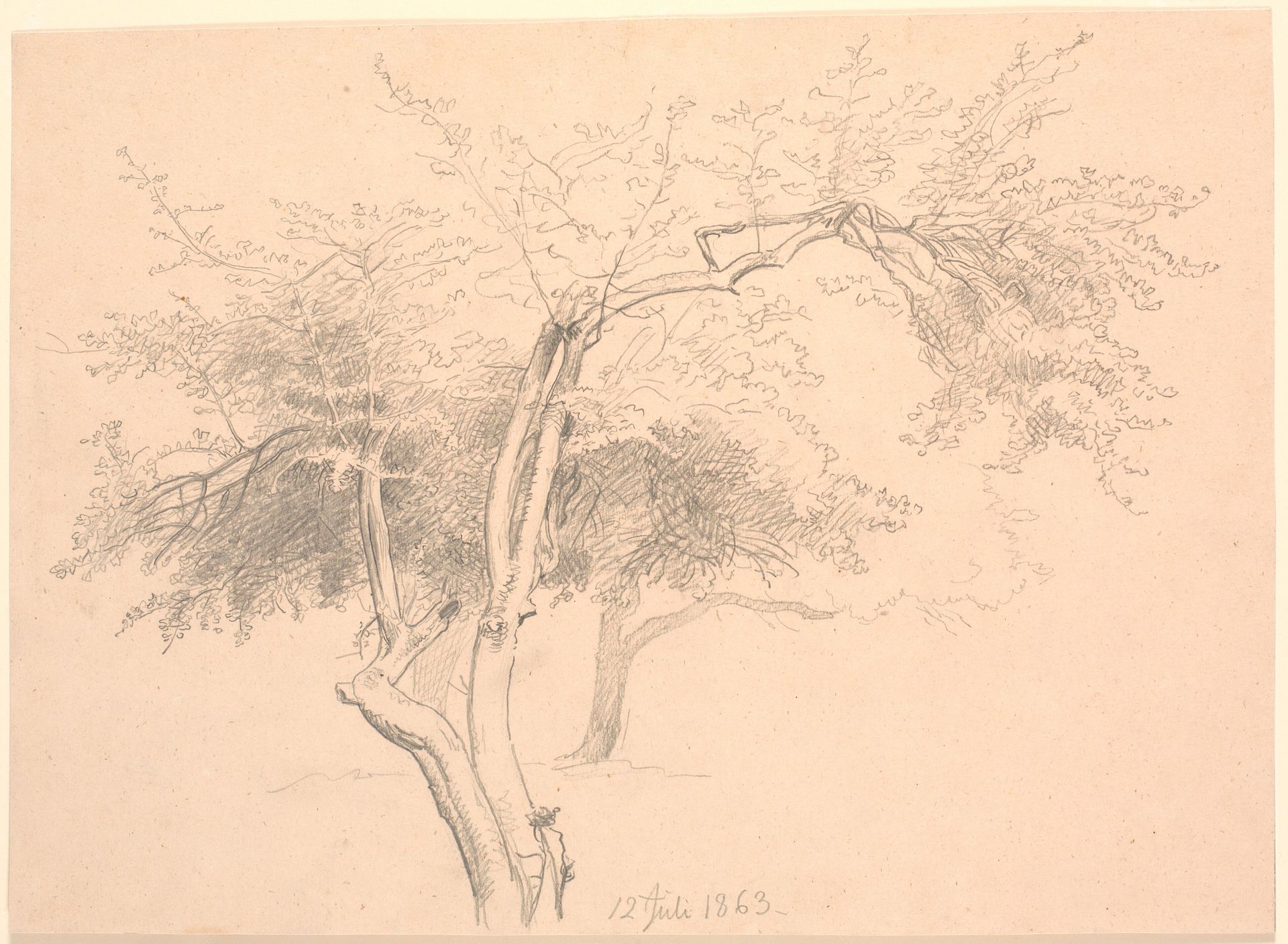 Studie af trætoppe. by P.C. Skovgaard