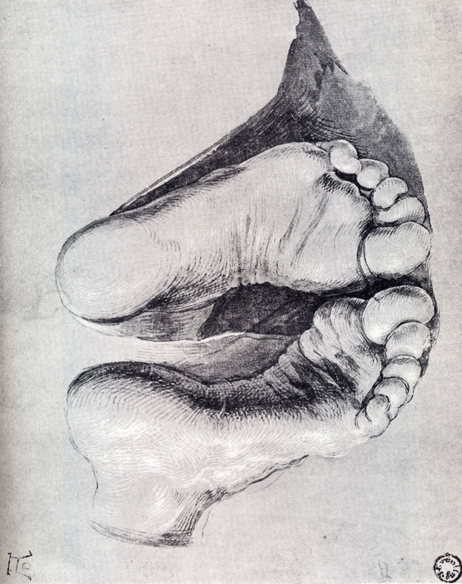 Feet Of A Kneeling Man by Albrecht Durer