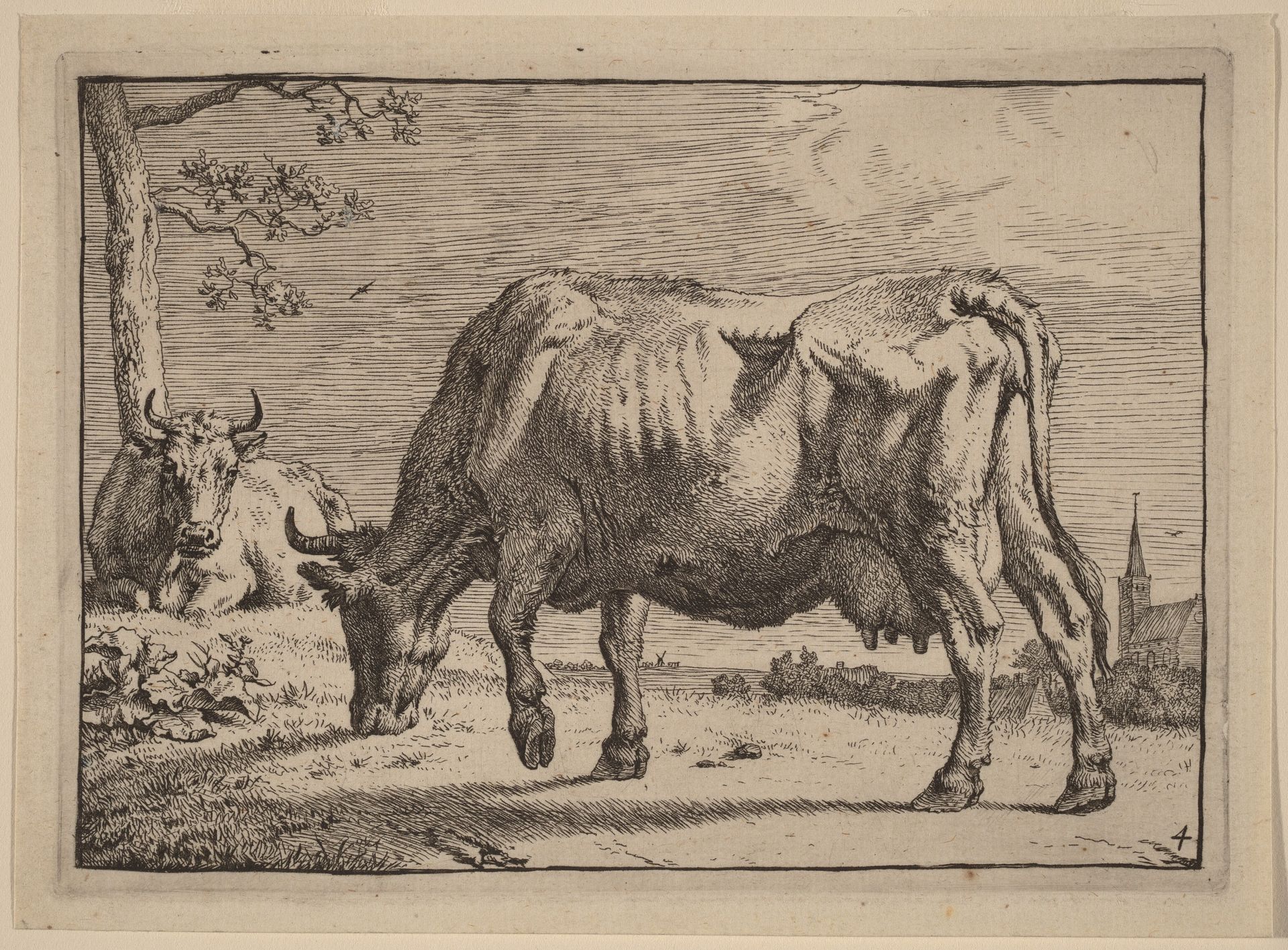 Grazing Cow by Paulus Potter