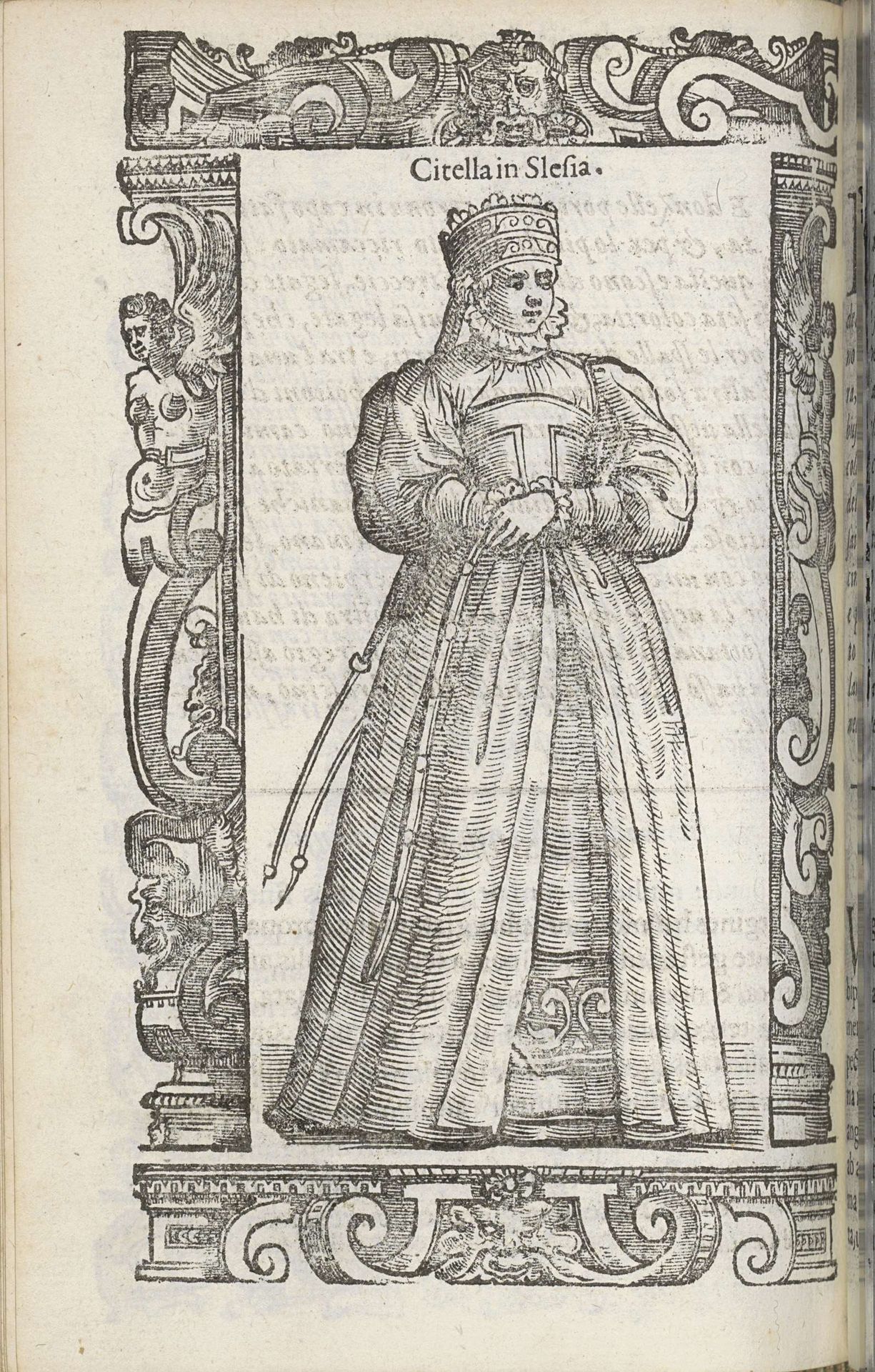 Citella in Slesia by Christoph Krieger