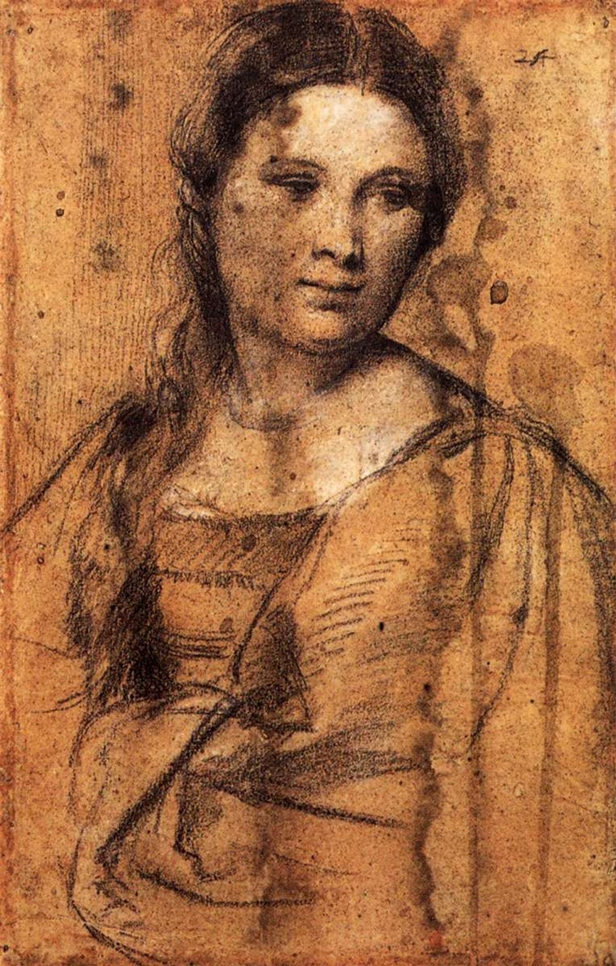 Portrait of a Young Woman by Titian