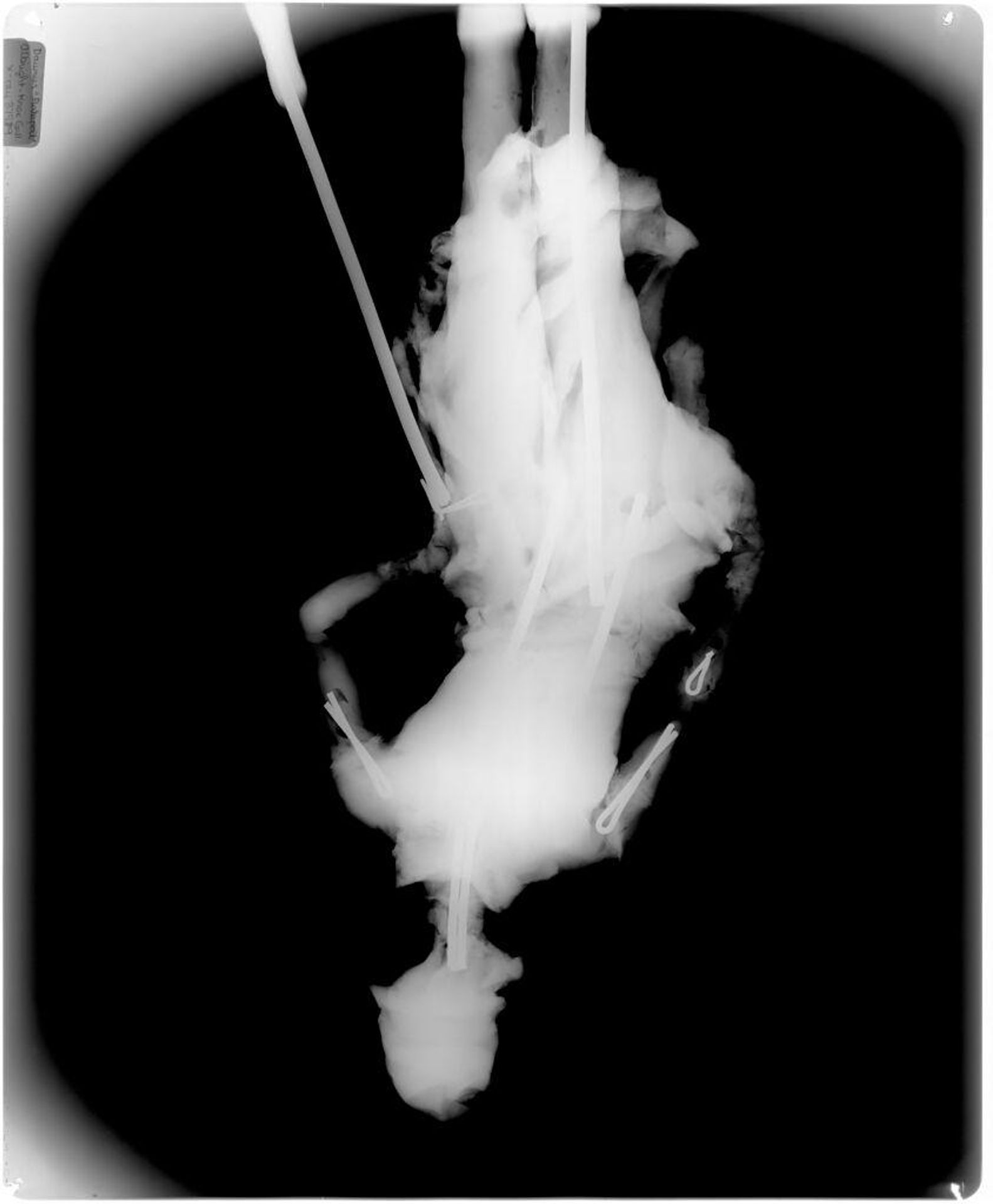 X-radiograph(s) of "Ratapoil" by Artist of original: HonorÃ©-Victorin Daumier