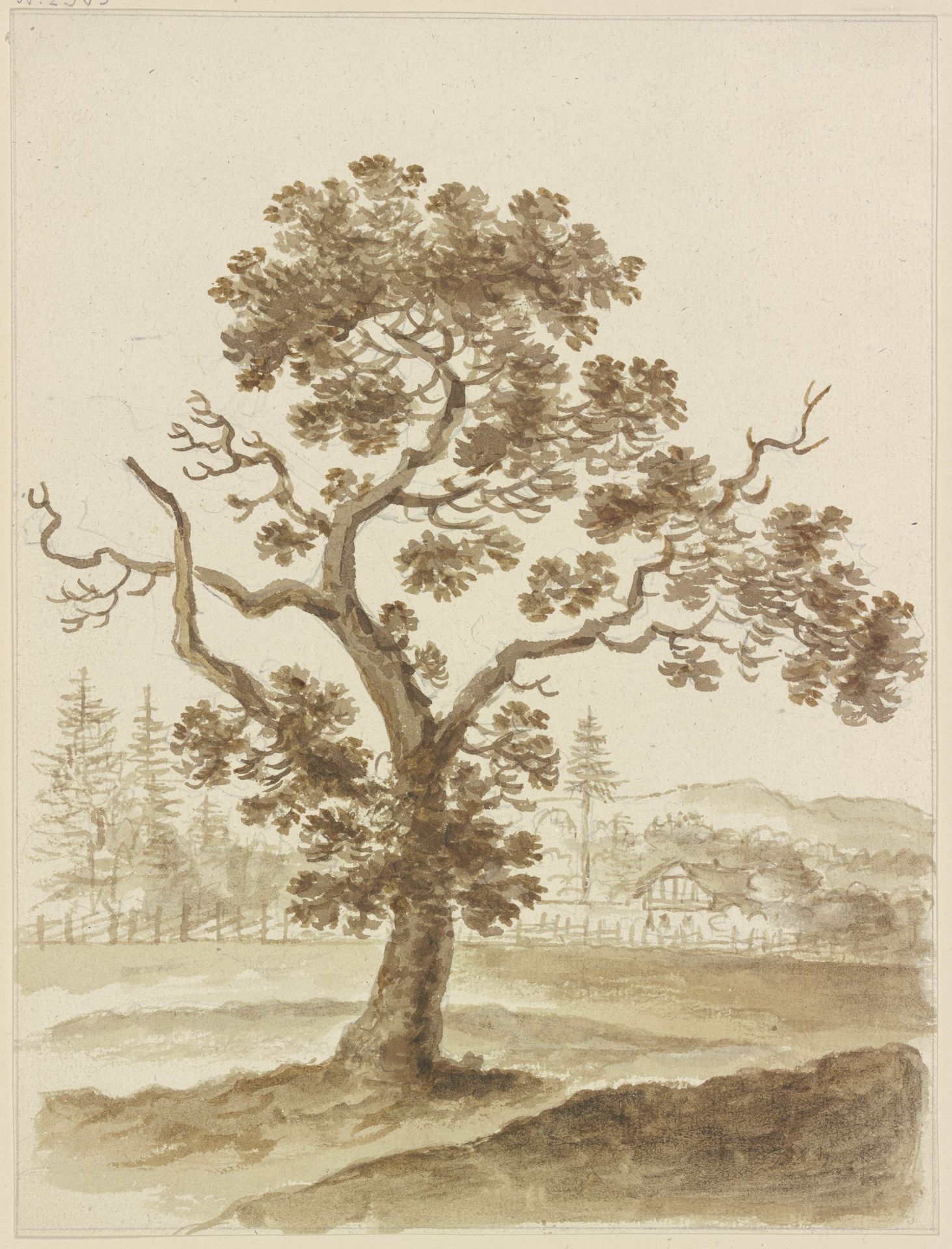 Leaf tree by Friedrich Wilhelm Hirt