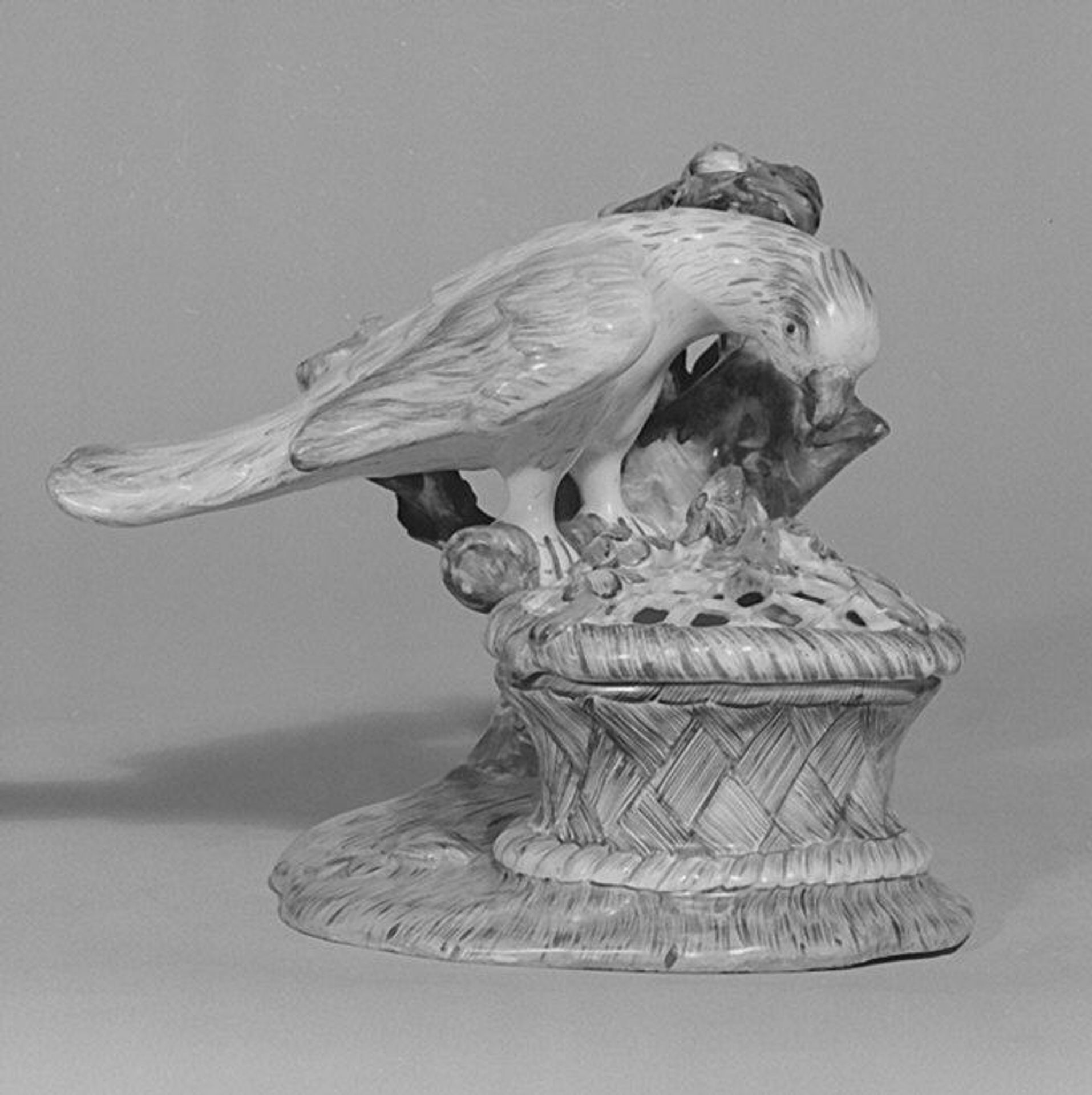 Parrot with spread wings by Johannes Zeschinger