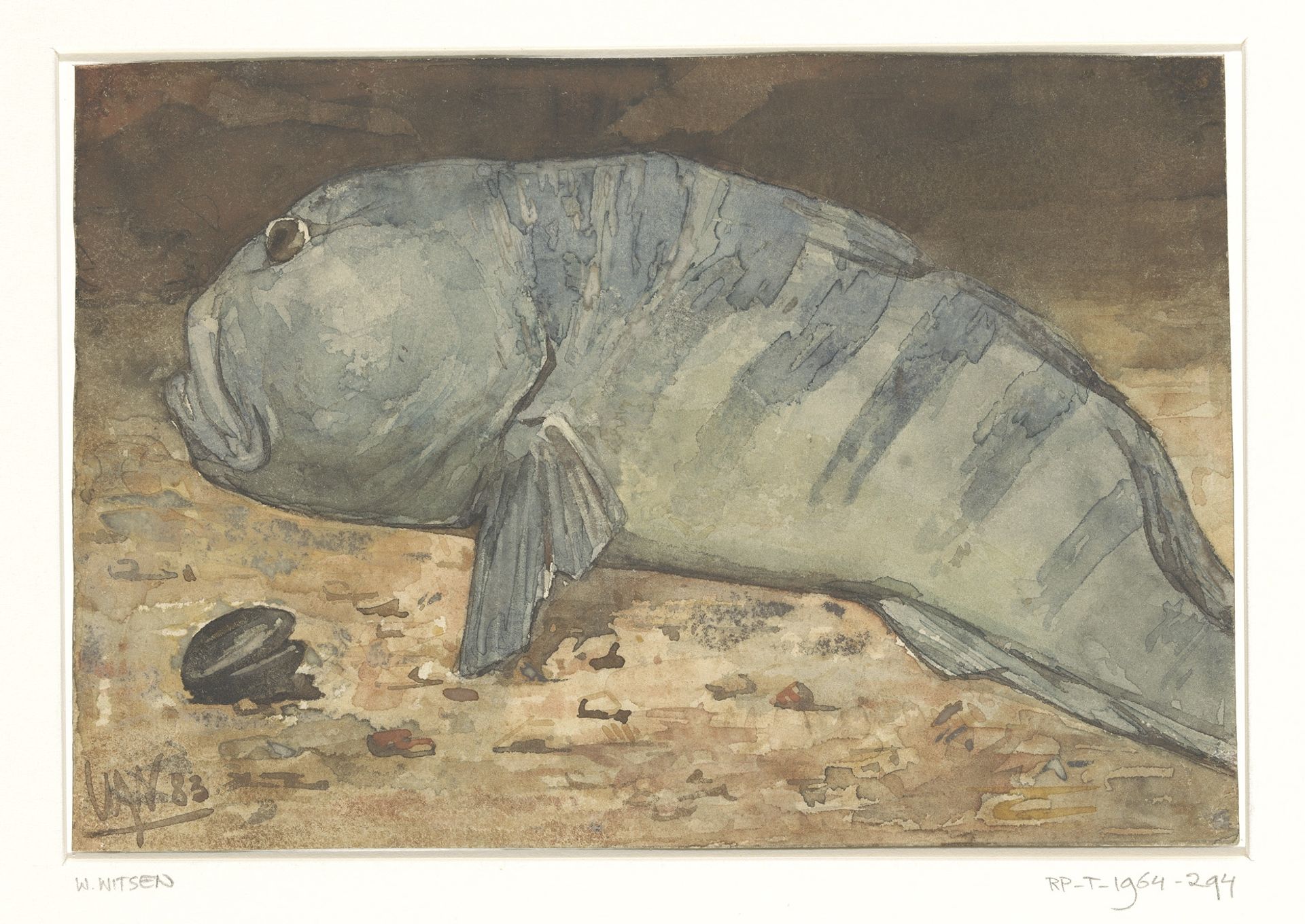 Side View of a Fish by Willem Witsen