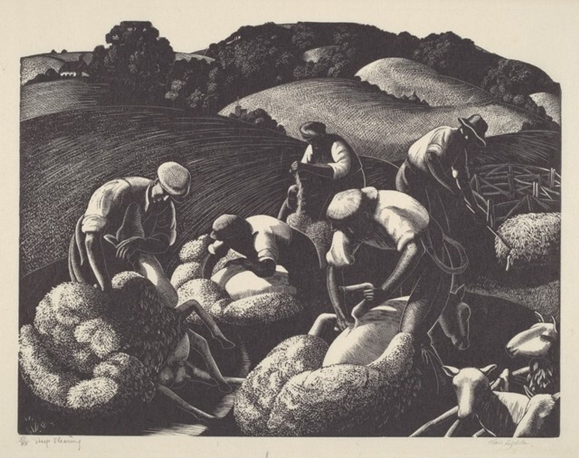 Sheep Shearing by Clare Leighton