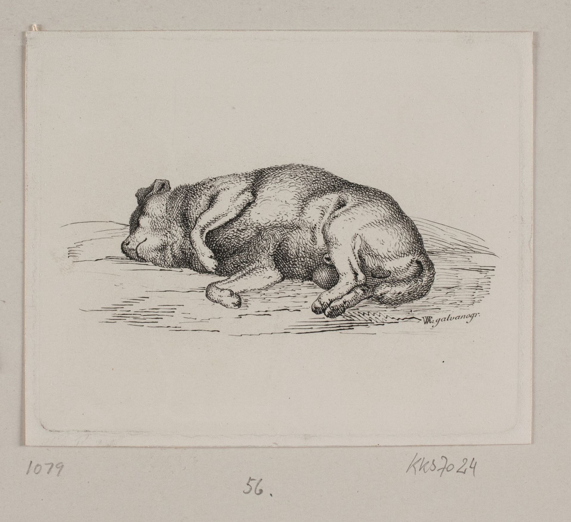 En liggende hund by Vilhelm Kyhn