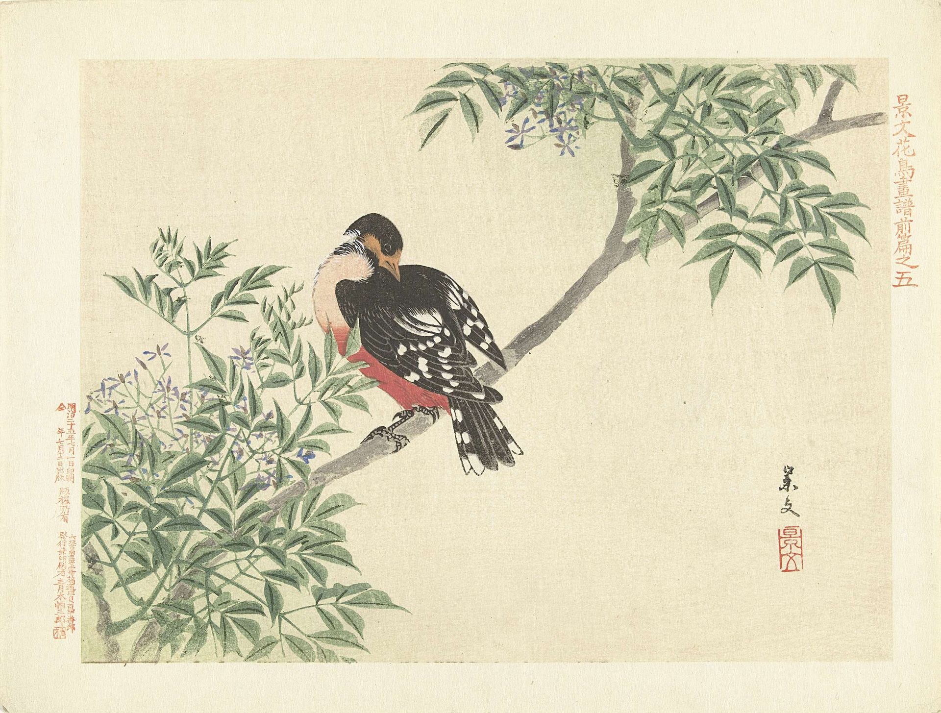 Zwart-rode vogel by Matsumura Keibun
