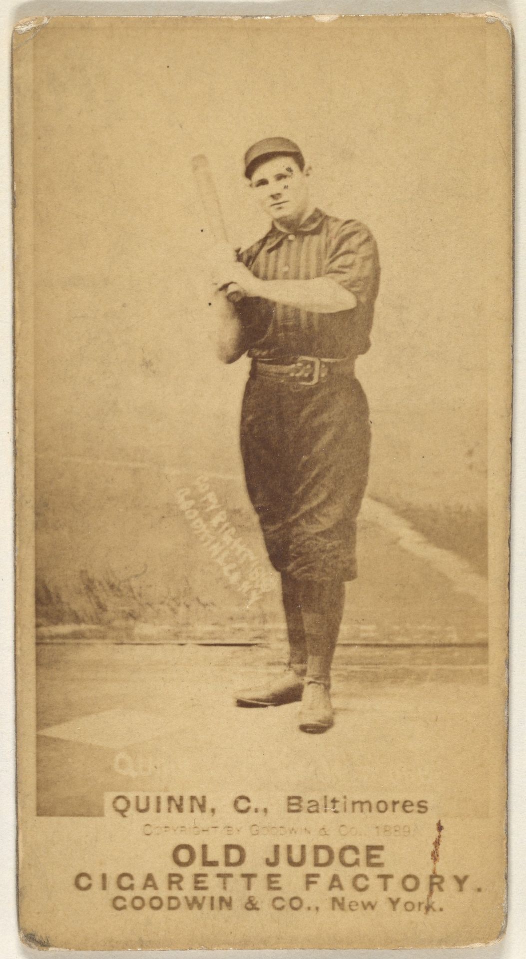 Quinn, Catcher, Baltimore Orioles, from the Old Judge series (N172) for Old Judge Cigarettes by Goodwin & Company