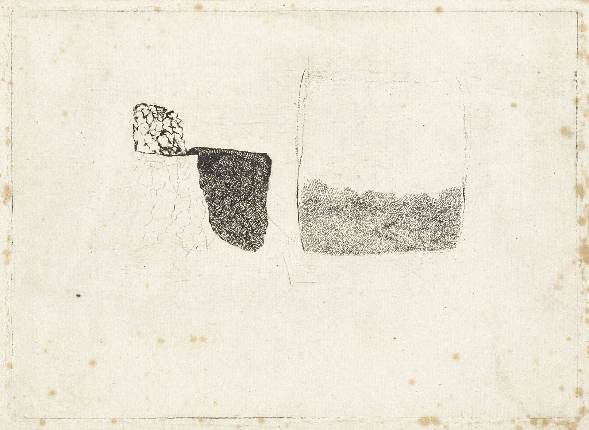 Anatomische studie van menselijke huid en nagel by Jan l' Admiral