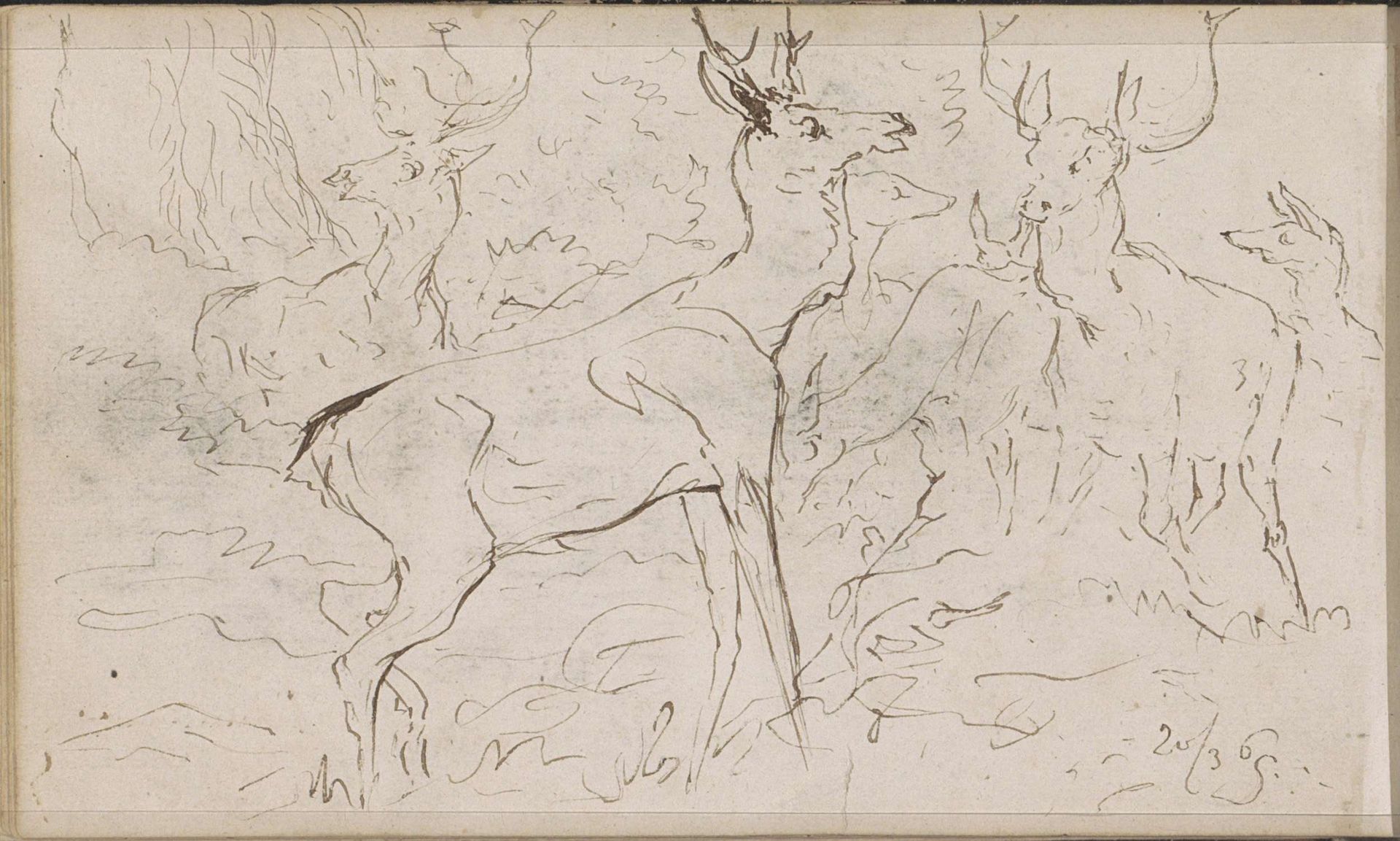 Herten in een bosachtige omgeving by Johannes Tavenraat