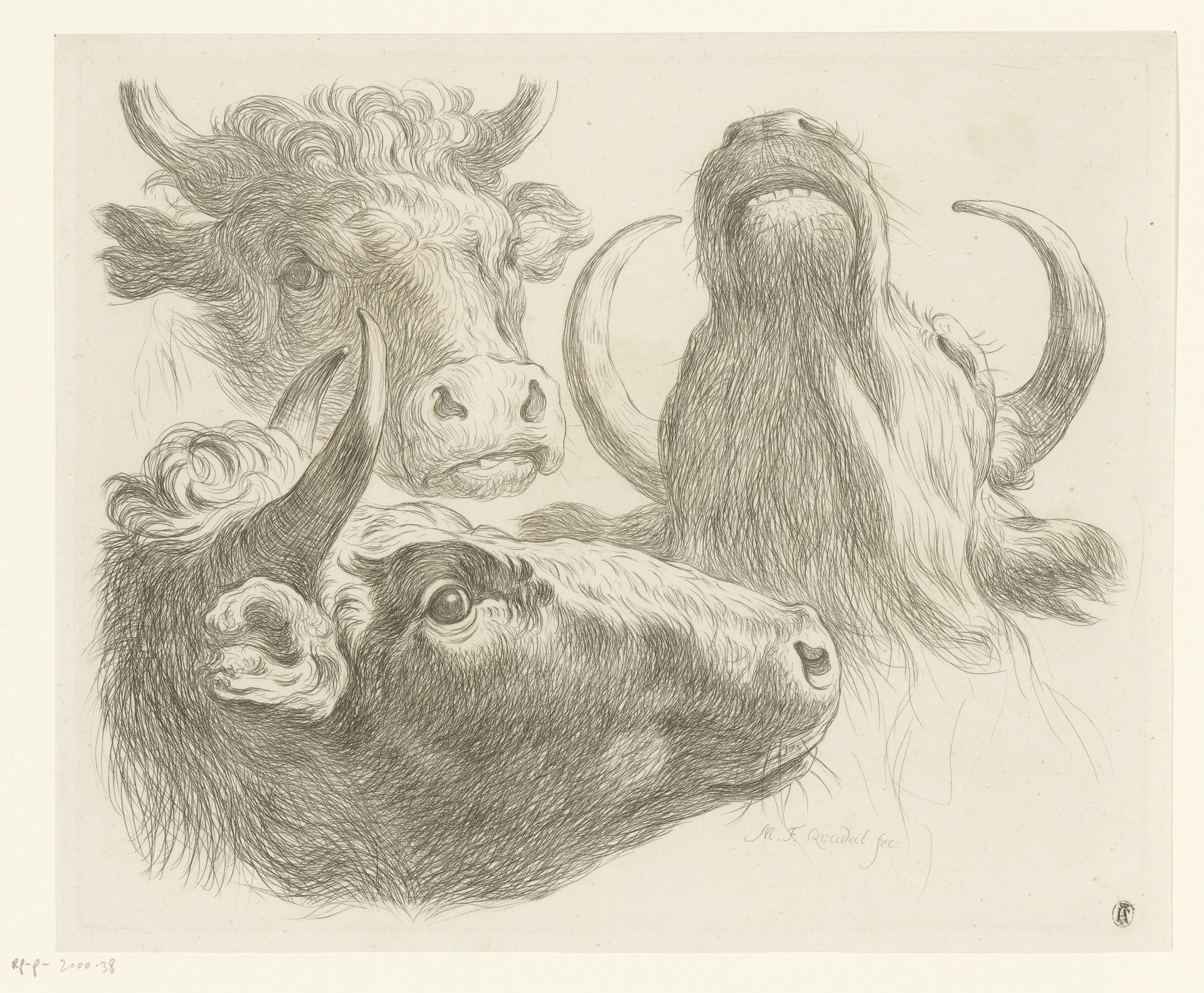 Drie koeienkoppen by Martin Ferdinand Quadal