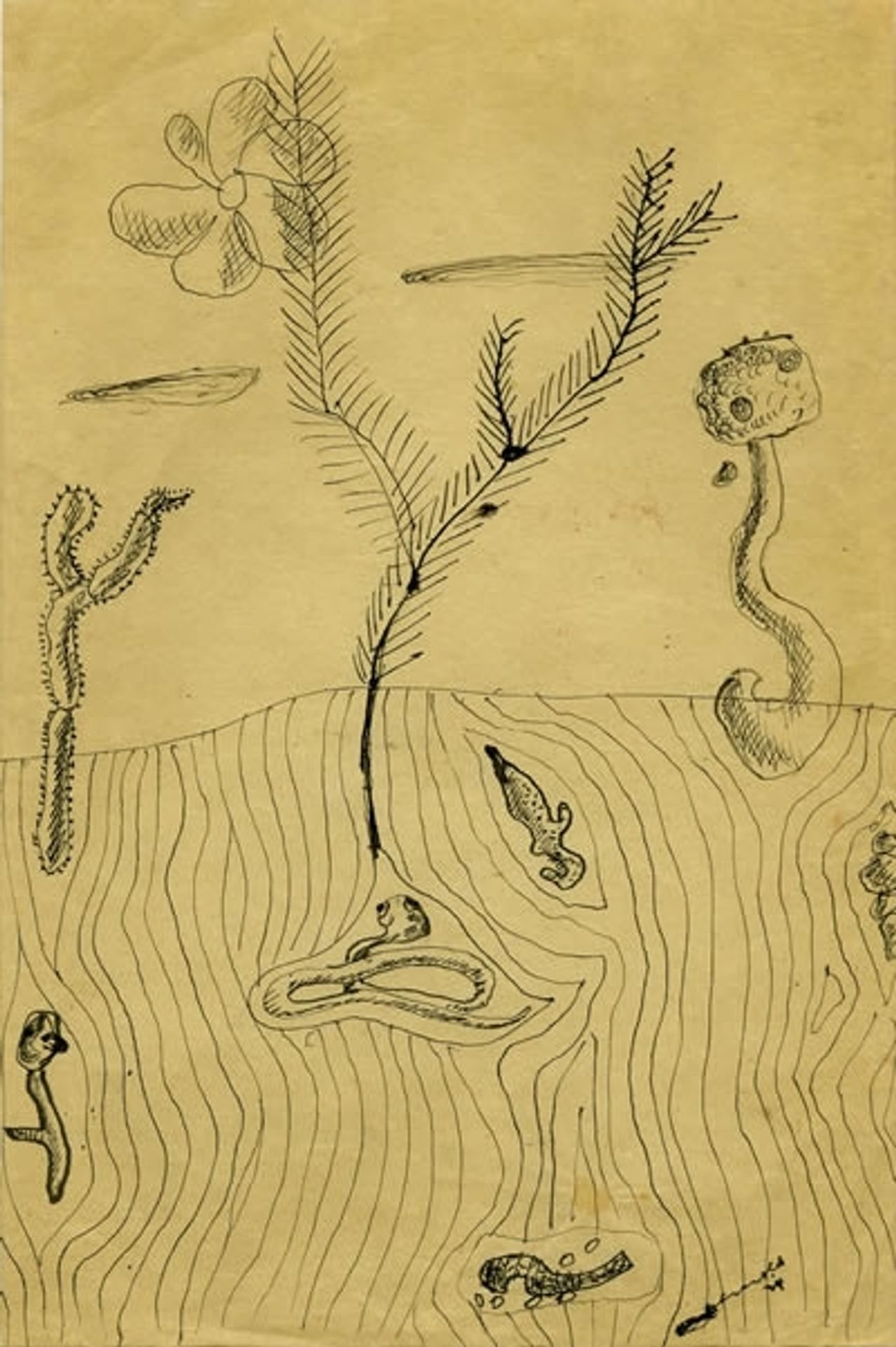 Untitled by Jacques Hérold