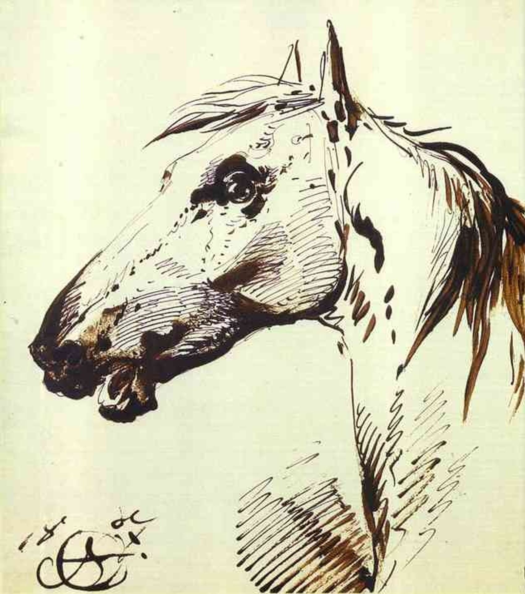 Head of a Horse by Alexander Orlowski