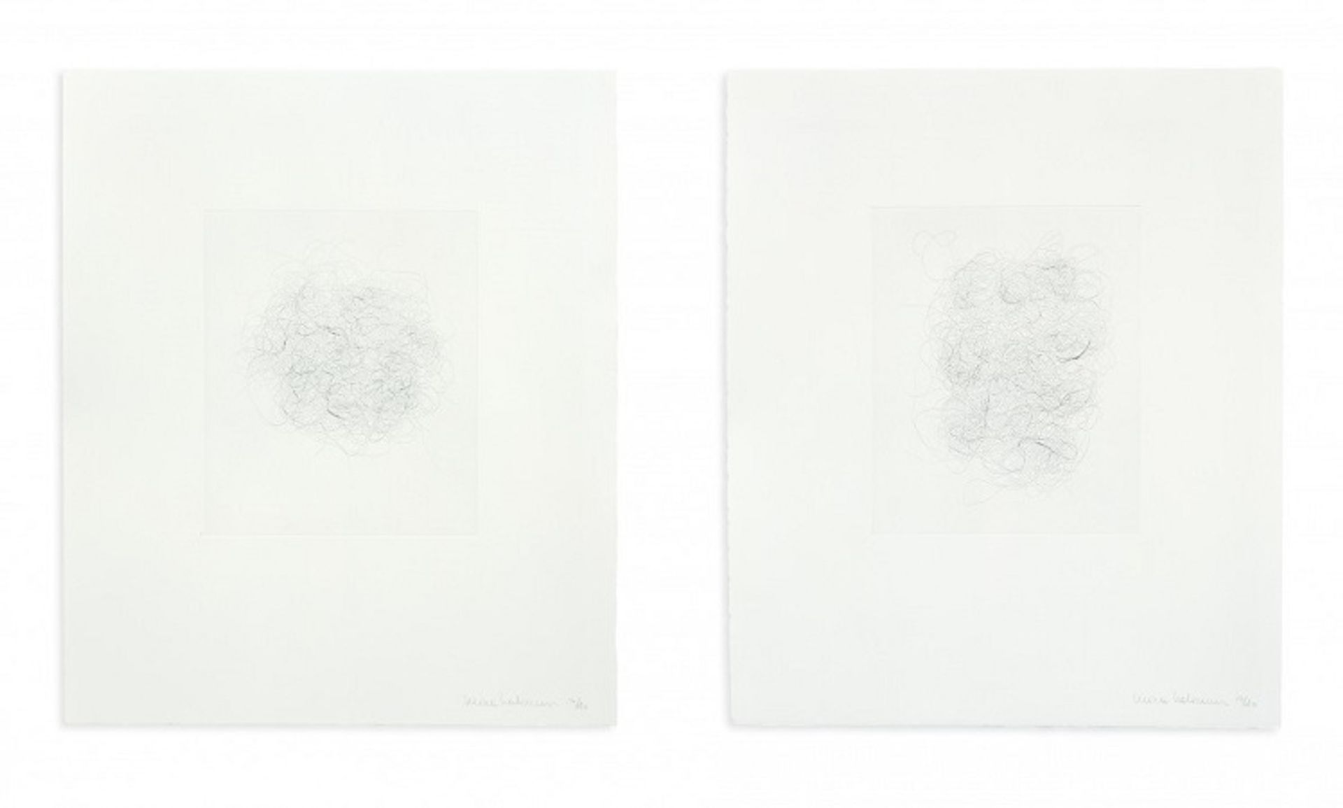 Hair and There by Mona Hatoum