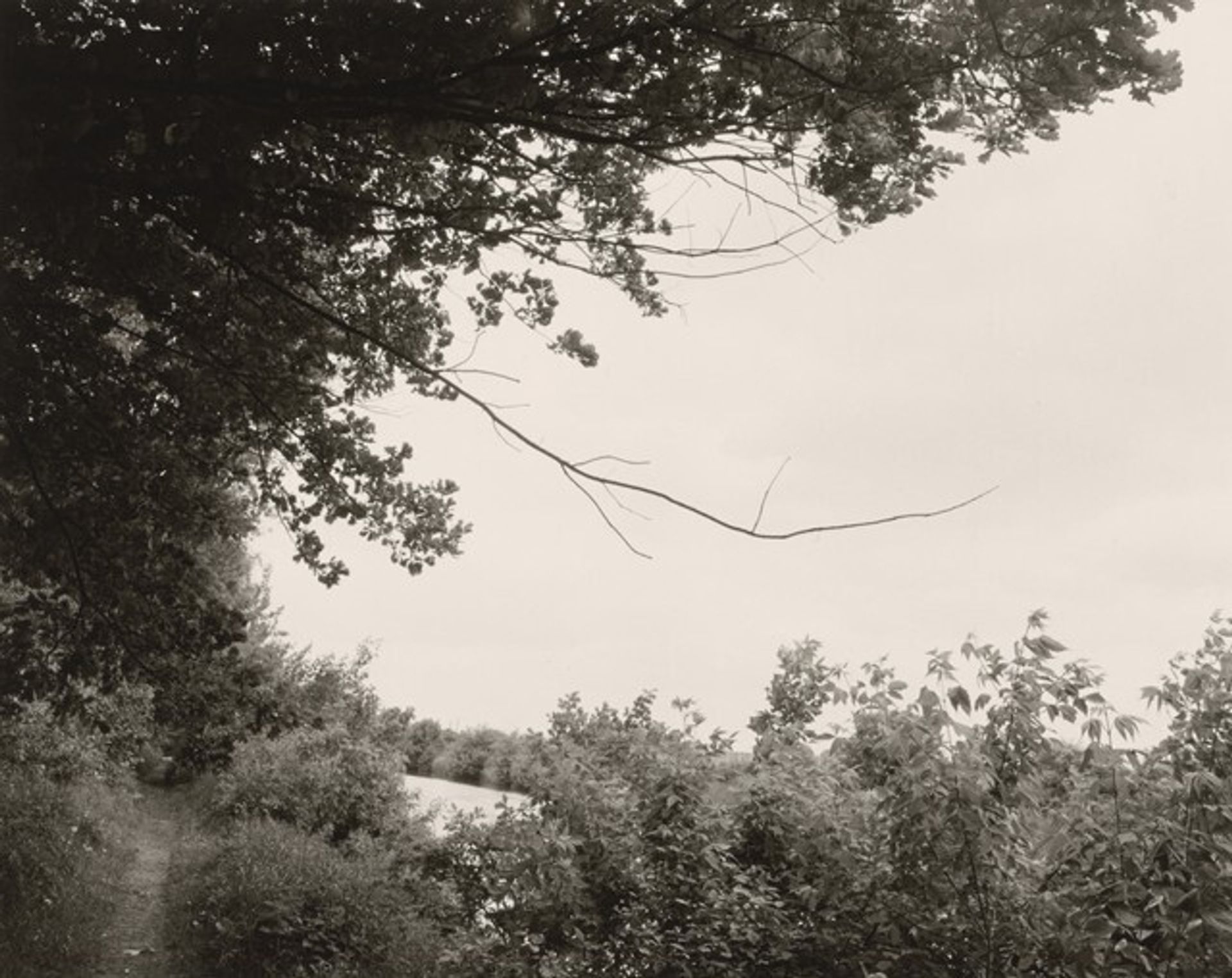 Near Ernst-Kellerbrücke by John Gossage