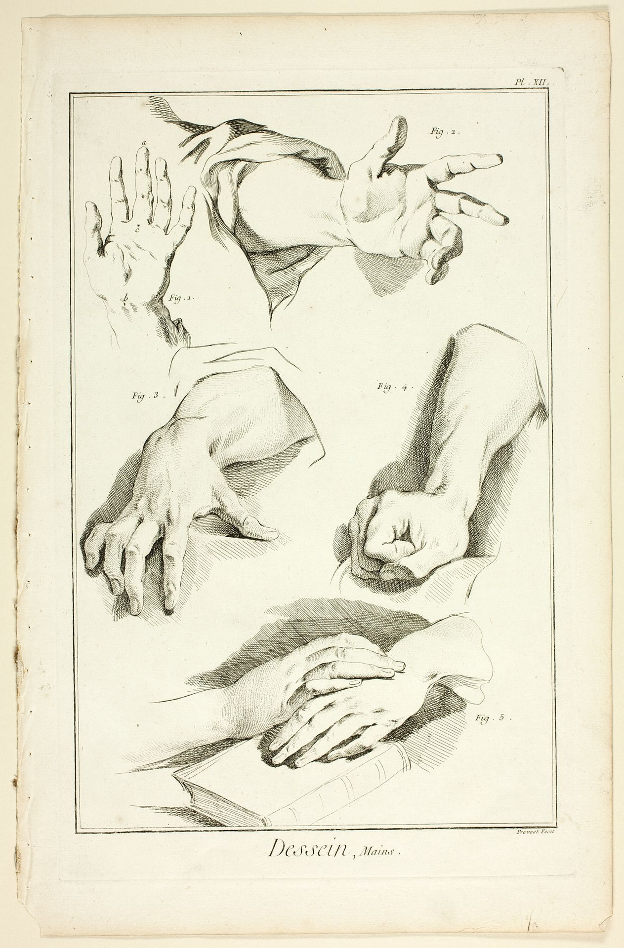 Design: Hands, from Encyclopédie by Benoit Louis Prevost