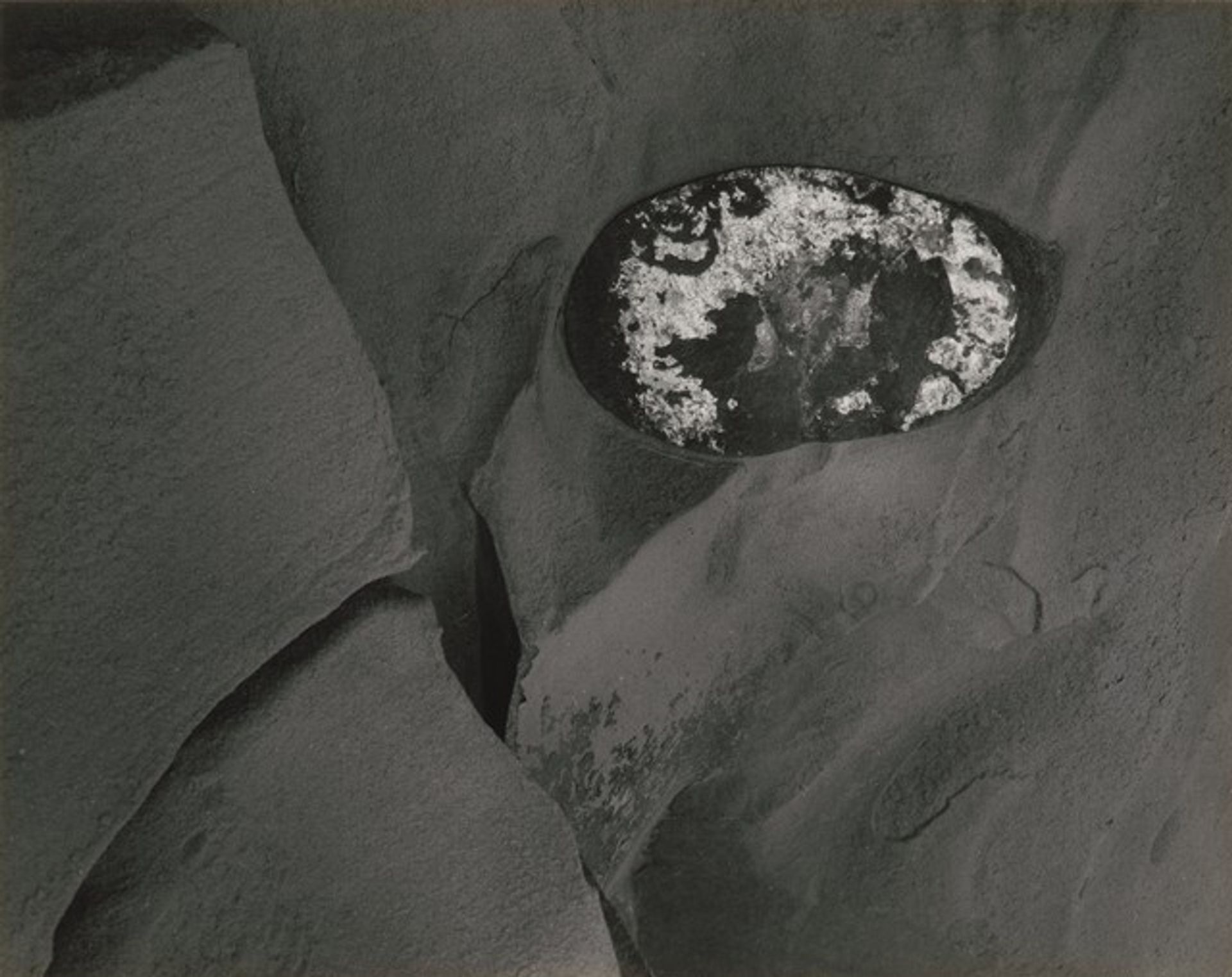 Shore Acres State Park, Oregon by Minor White
