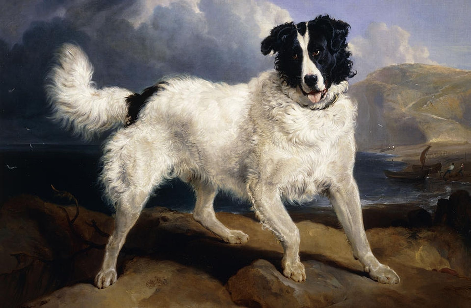 A Portrait of Neptune by Edwin Henry Landseer