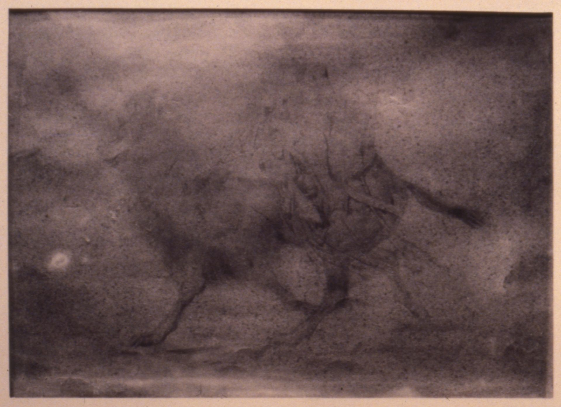 Drawing of a Camel and Rider by Thomas Eakins