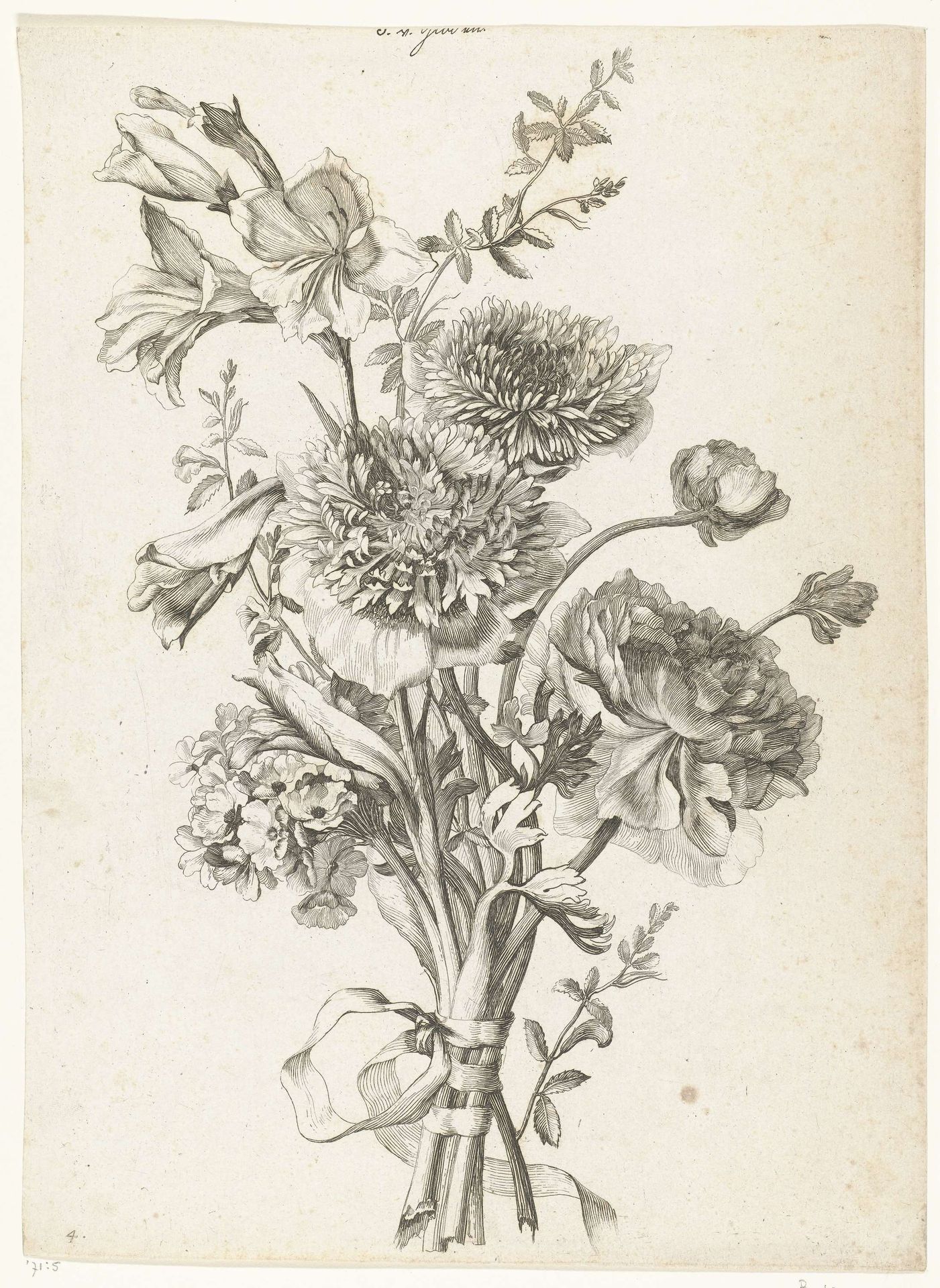 Bouquet of Anemones by Jacques (I) Bailly