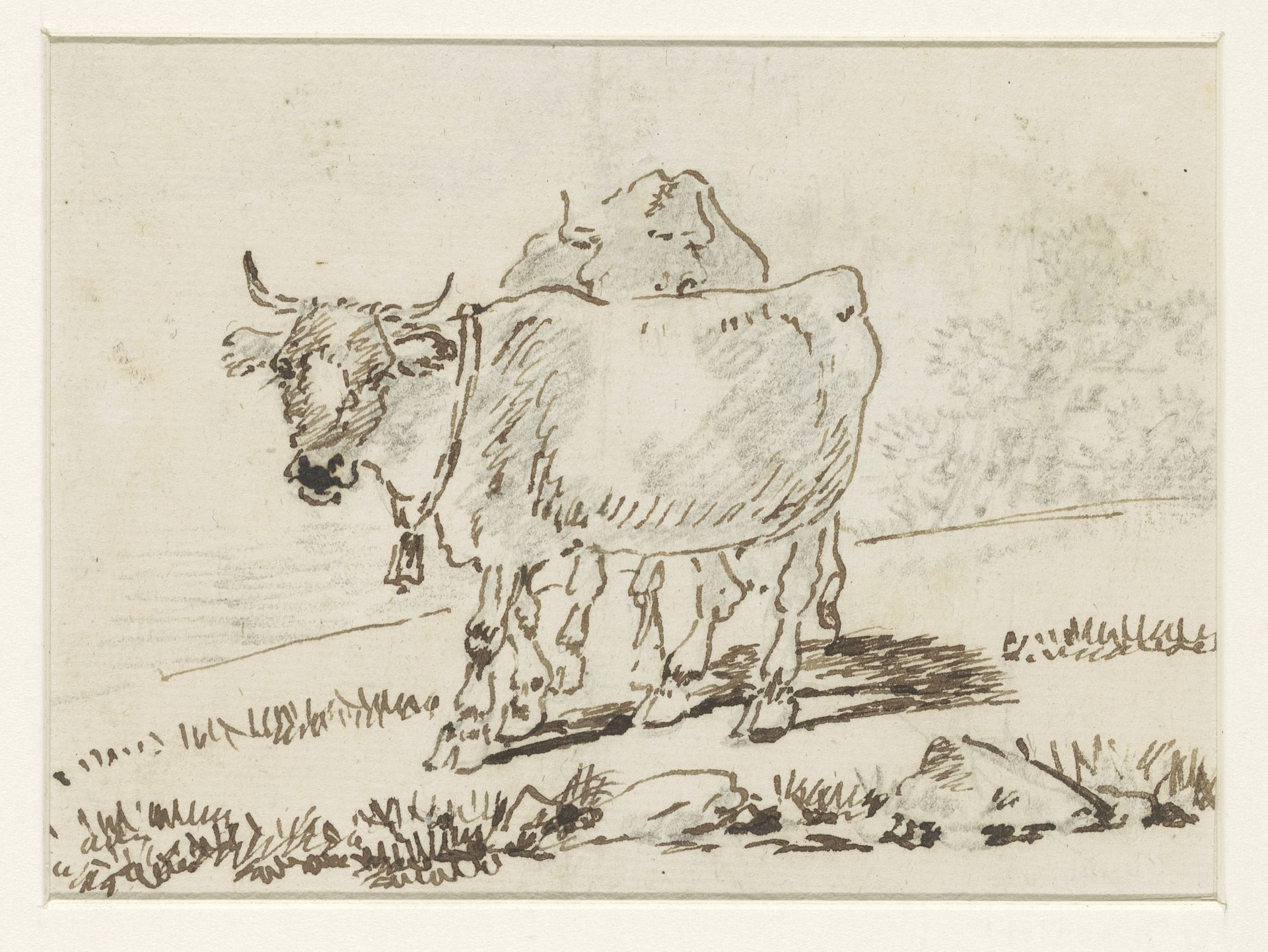 Twee koeien, waarvan de voorste een bel draagt by David Alphonse de Sandoz-Rollin