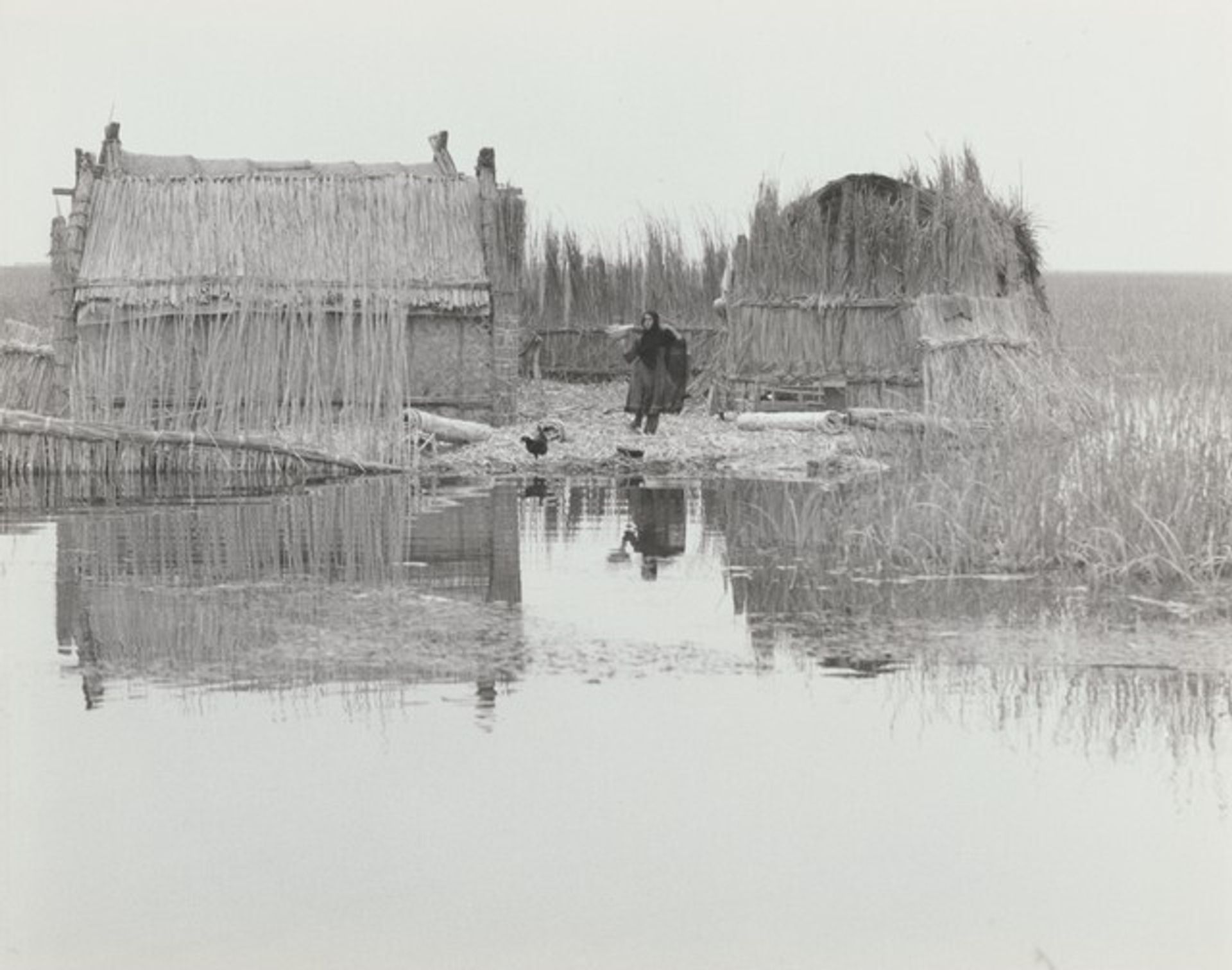 Untitled by Ursula Schulz-Dornburg
