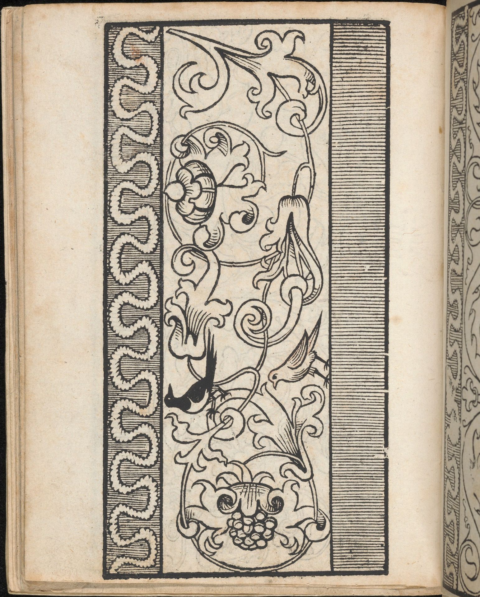 Ein new Modelbuch..., page 15 (verso) by Johann Schönsperger the Younger
