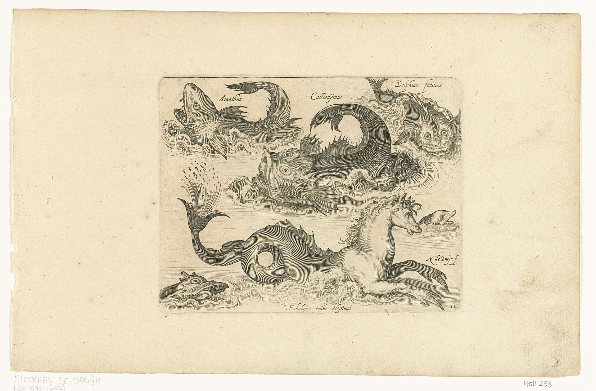 Fantastische waterdieren, onder andere zeepaard by Nicolaes de Bruyn