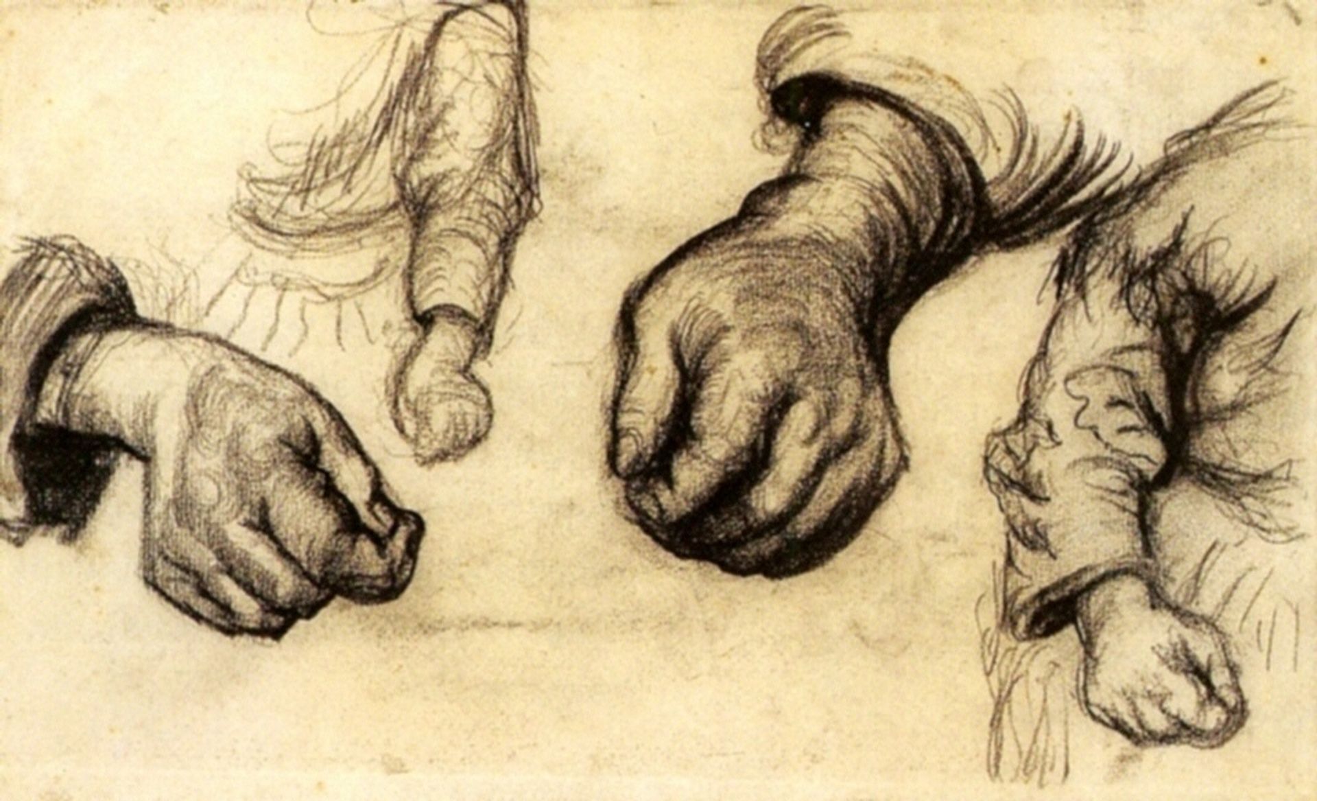 Two Hands and Two Arms by Vincent van Gogh