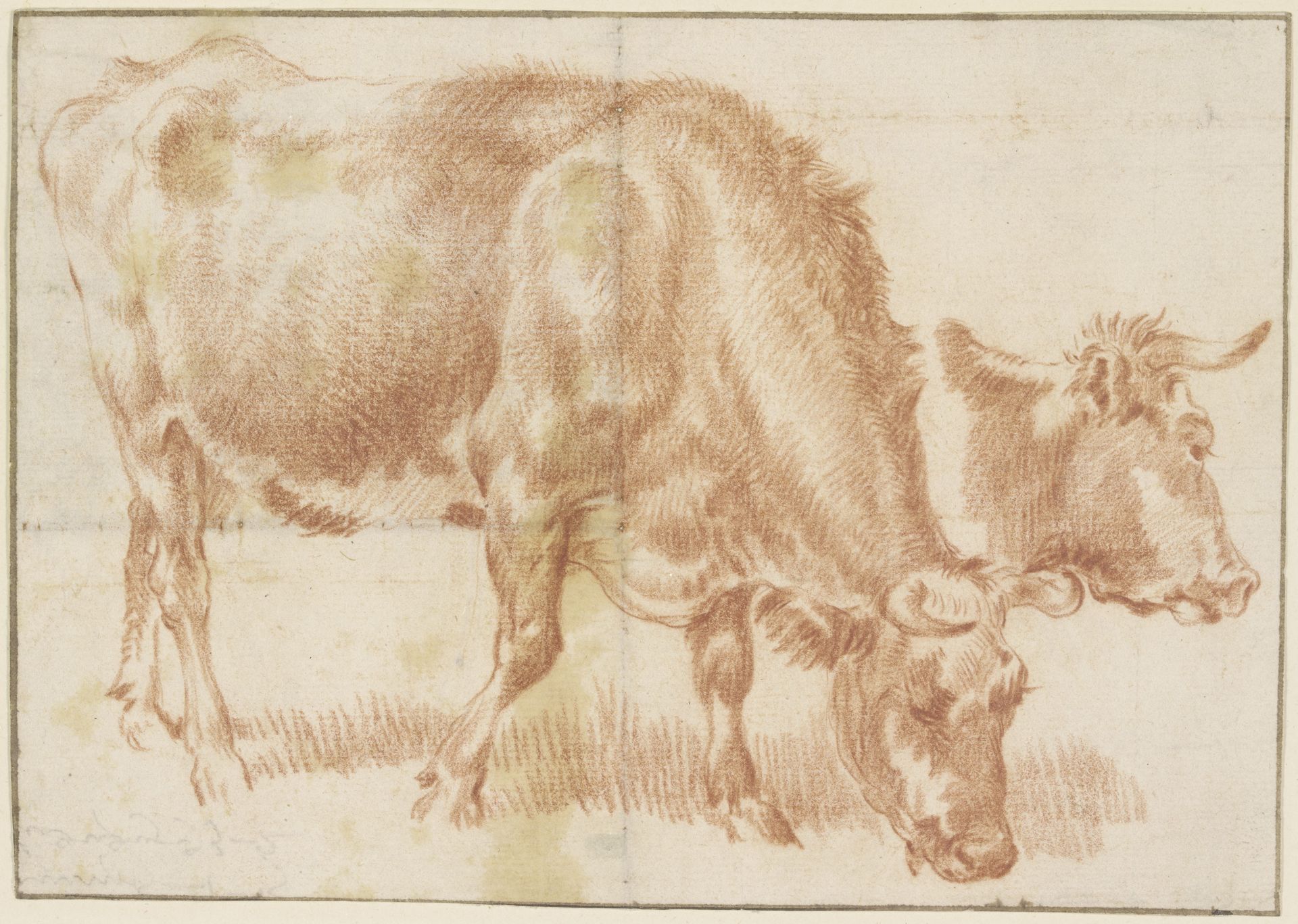 Grasendes Rind, rechts daneben ein Rinderkopf by Adriaen van de Velde