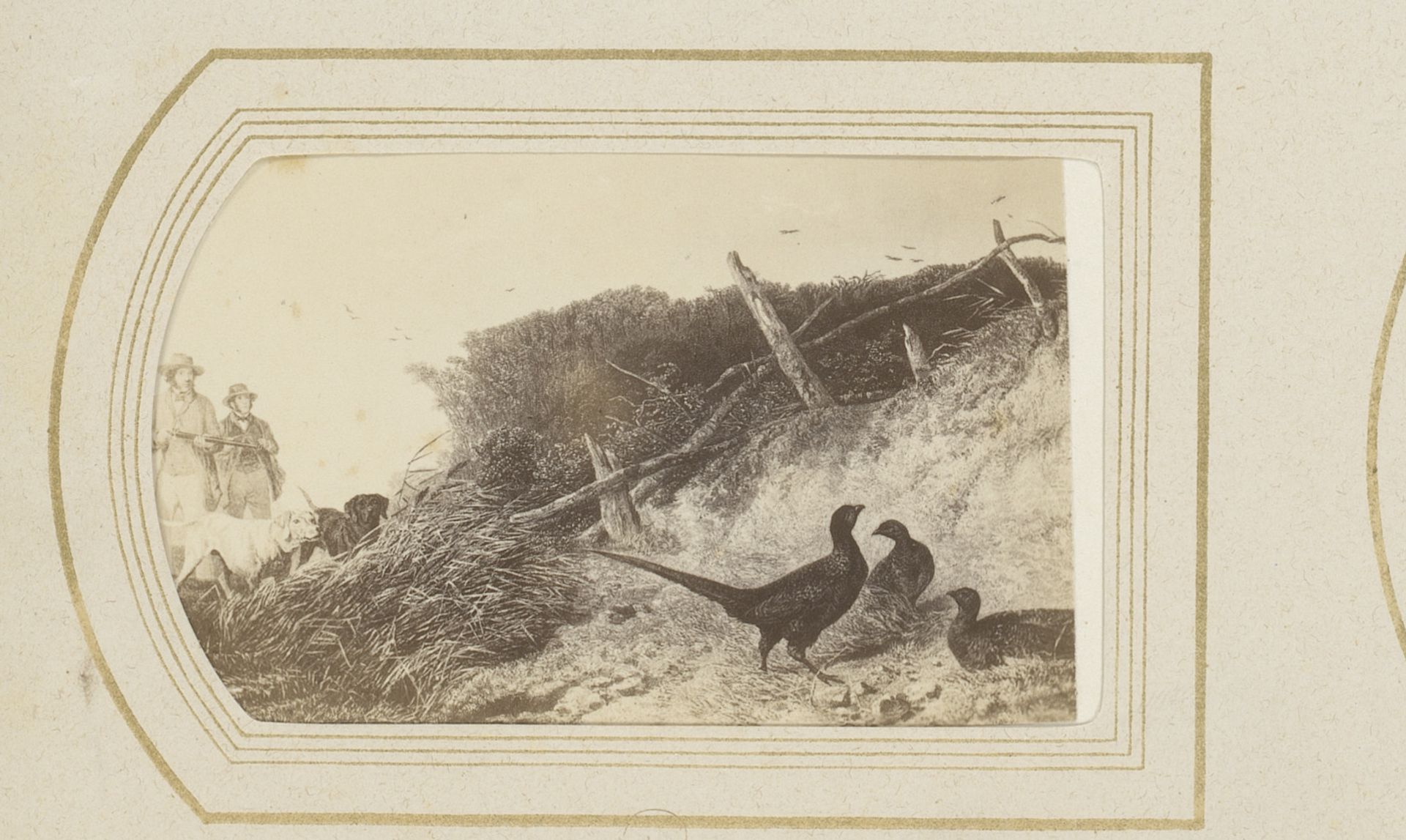 Fotoreproductie van Pheasant door Richard Ansdell by Anonymous