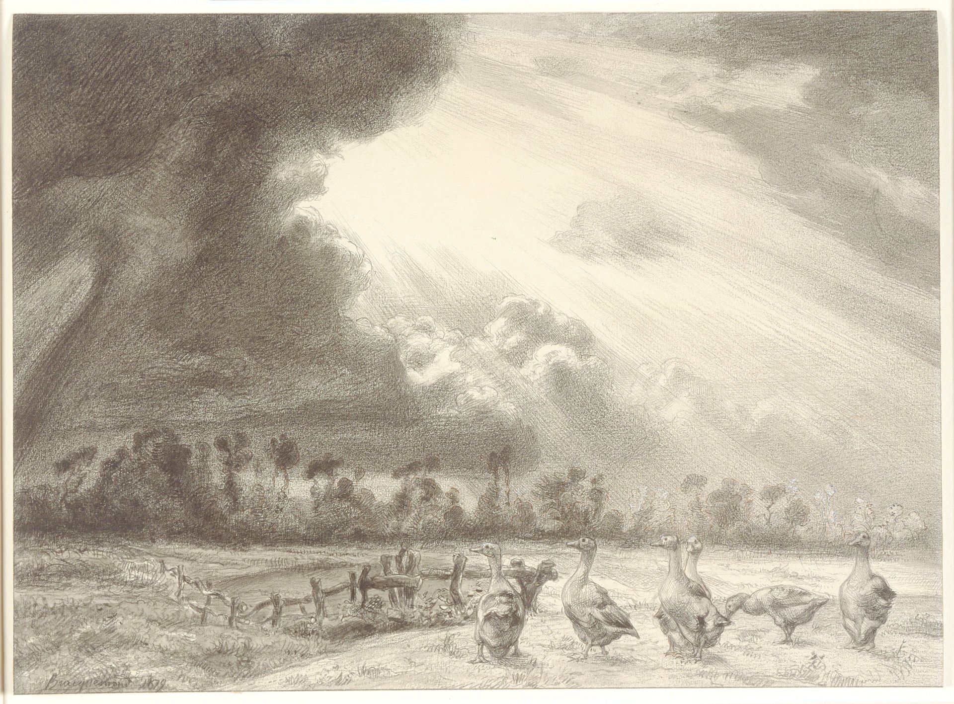 Geese and the Approaching Storm by Félix Bracquemond