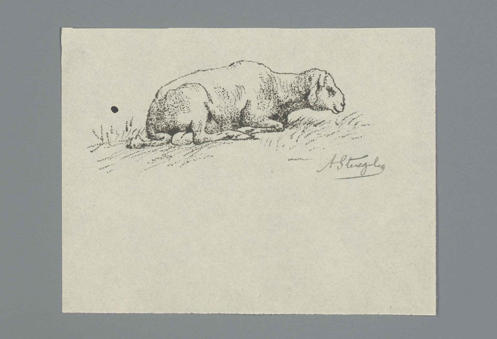 Liggend schaap by Alphonse Stengelin