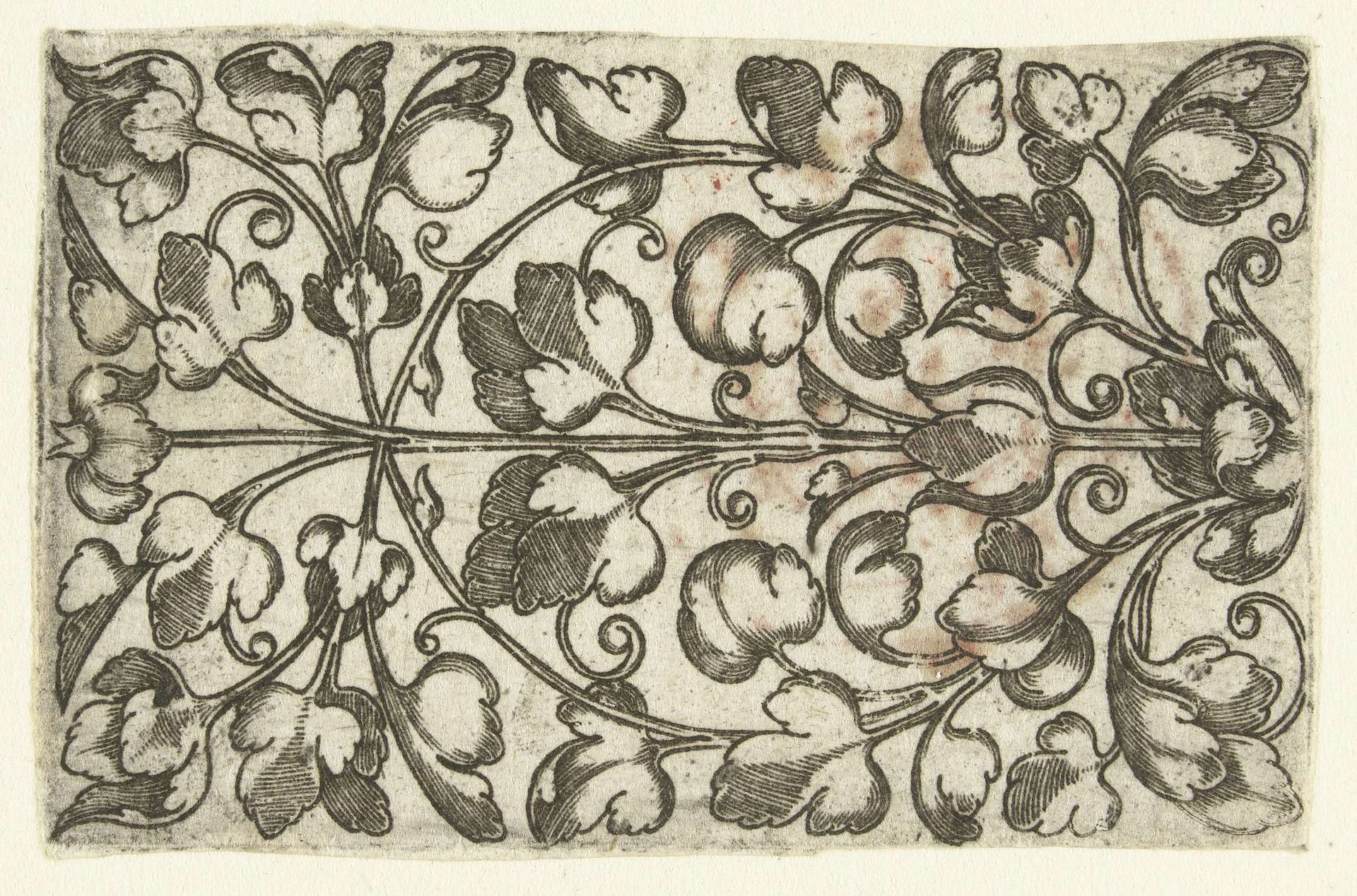 Drie stengels met bladeren by Anonymous