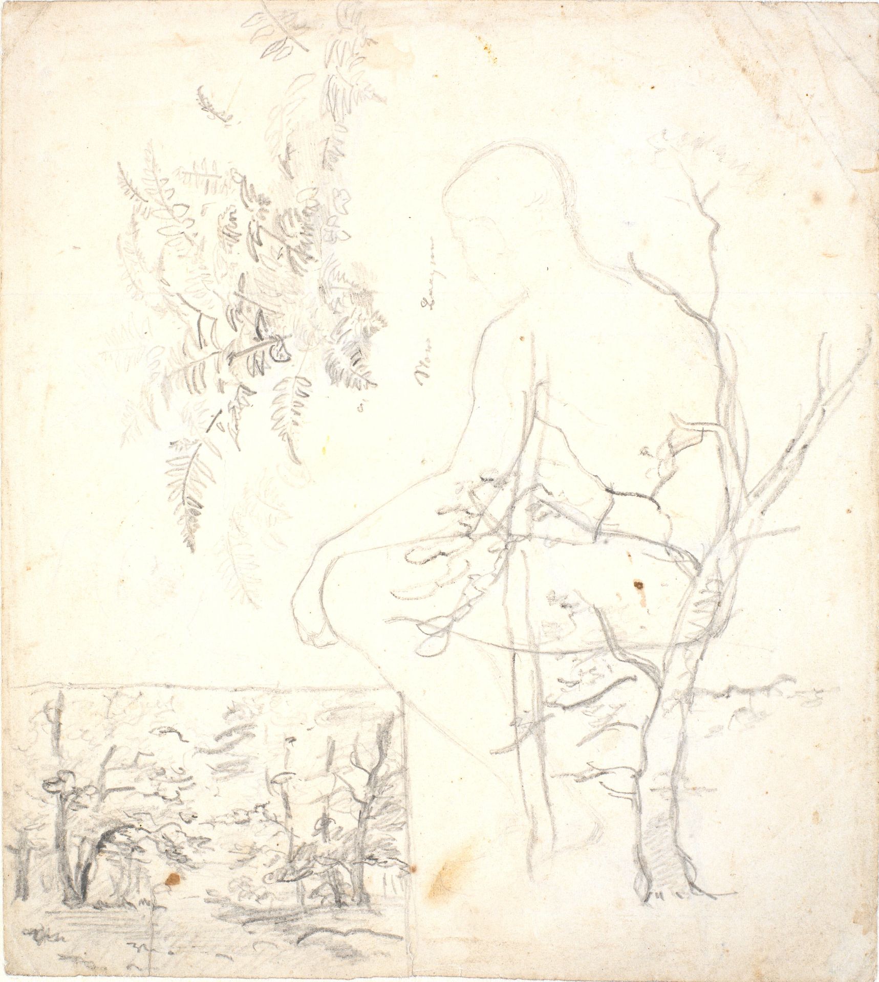 Studieblad med skovbillede, træer, planter og figur by Dankvart Dreyer
