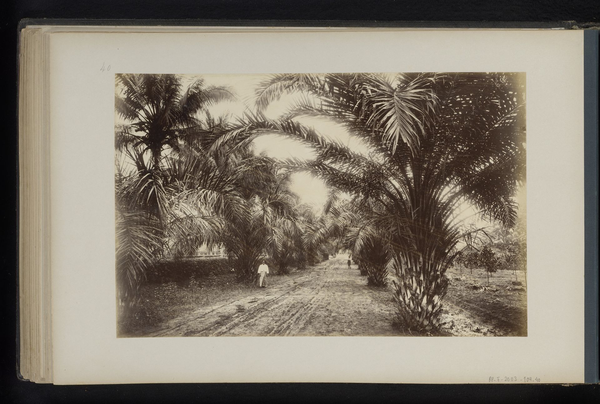 Laan met palmbomen in Bekioen, Sumatra by Heinrich Ernst & Co
