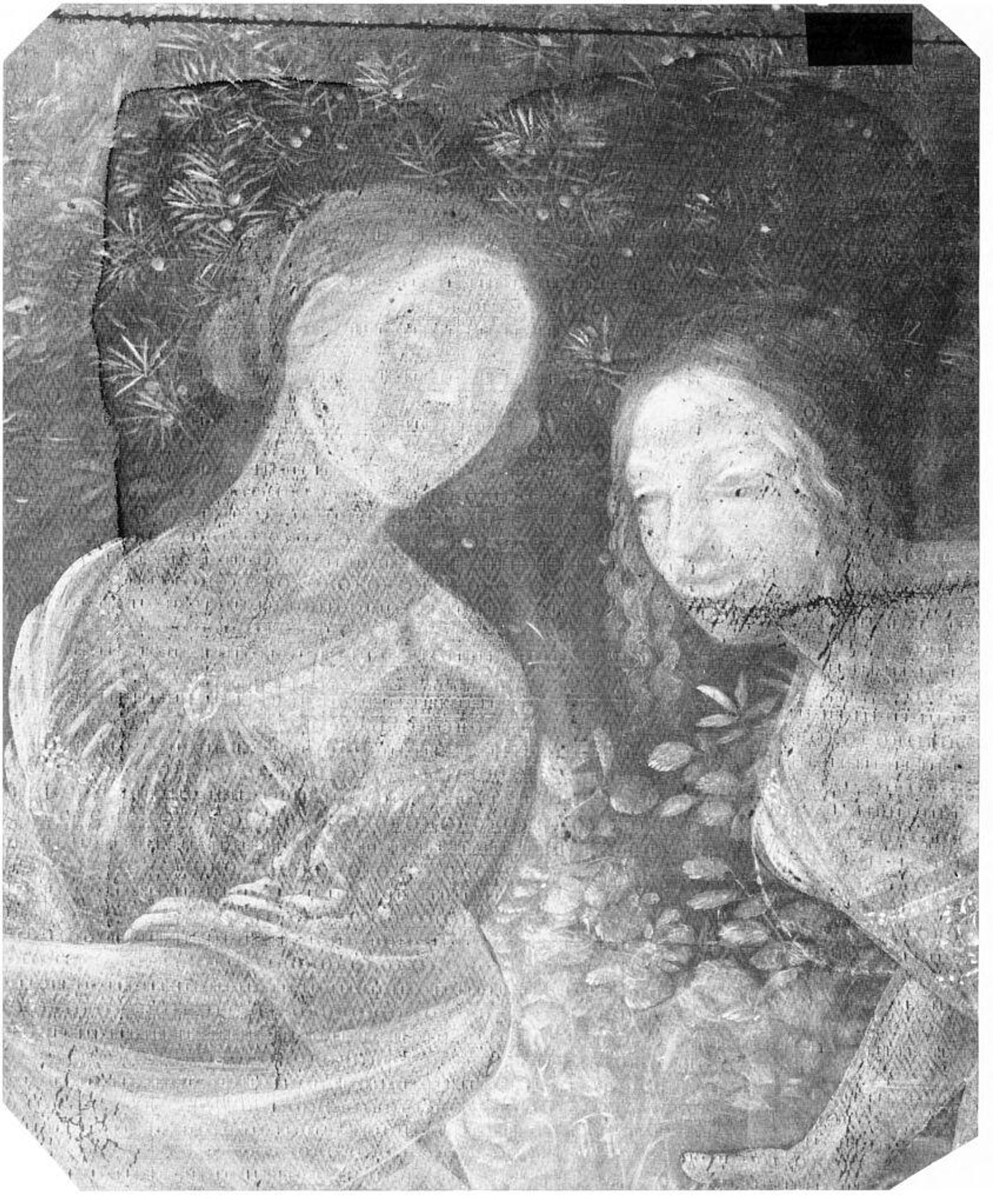 X-radiograph(s) of "Finding of Vulcan (formerly Hylas and Nymphs)" by Artist of original: Piero di Cosimo